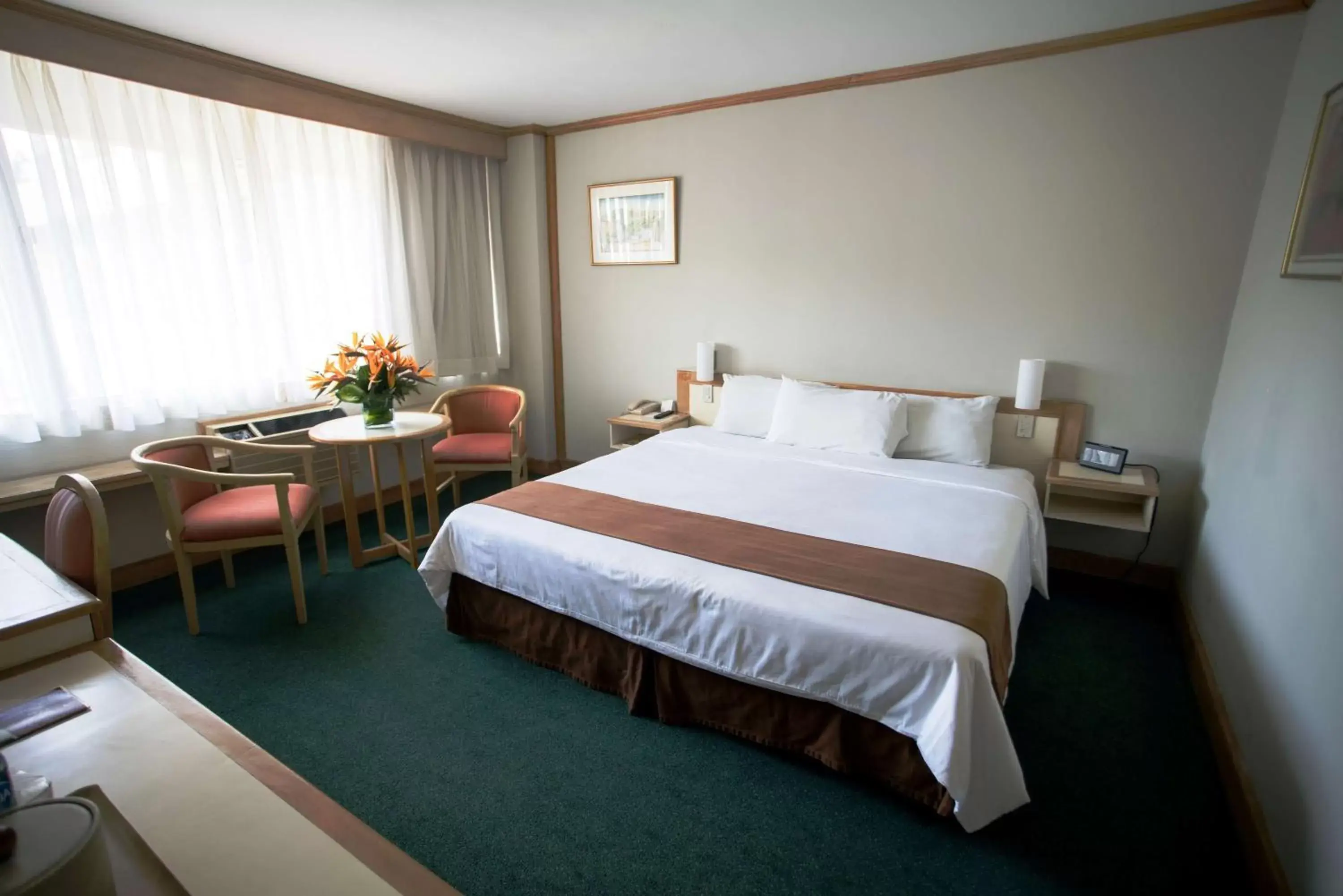 King Room in Best Western Plus Hotel Terraza King Room in Best Western Plus Hotel Terraza