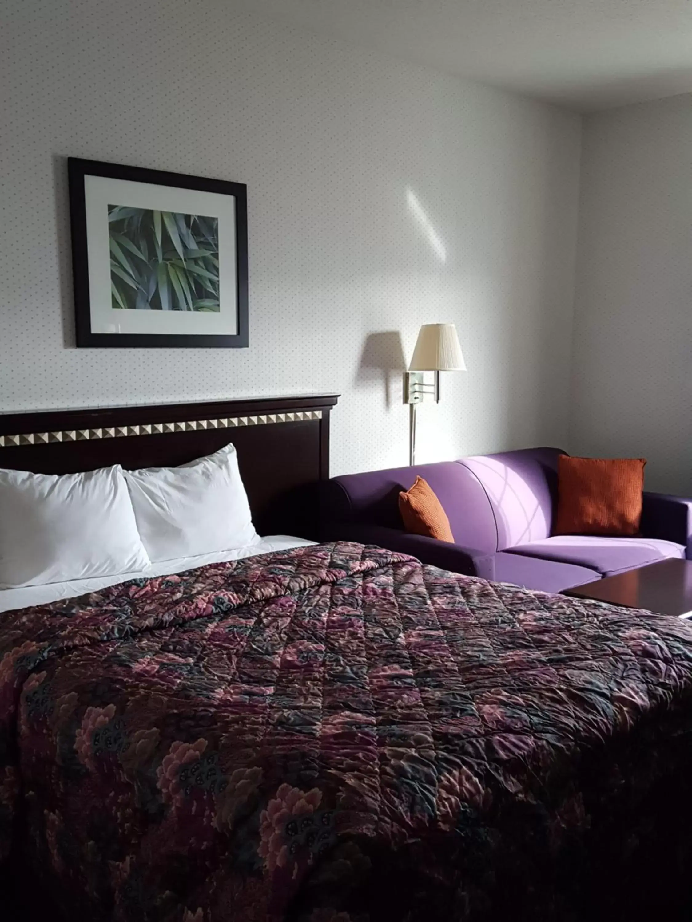 Queen Room - Non-Smoking in Rodeway Inn Urbana Champaign University Area Queen Room - Non-Smoking in Rodeway Inn Urbana Champaign University Area