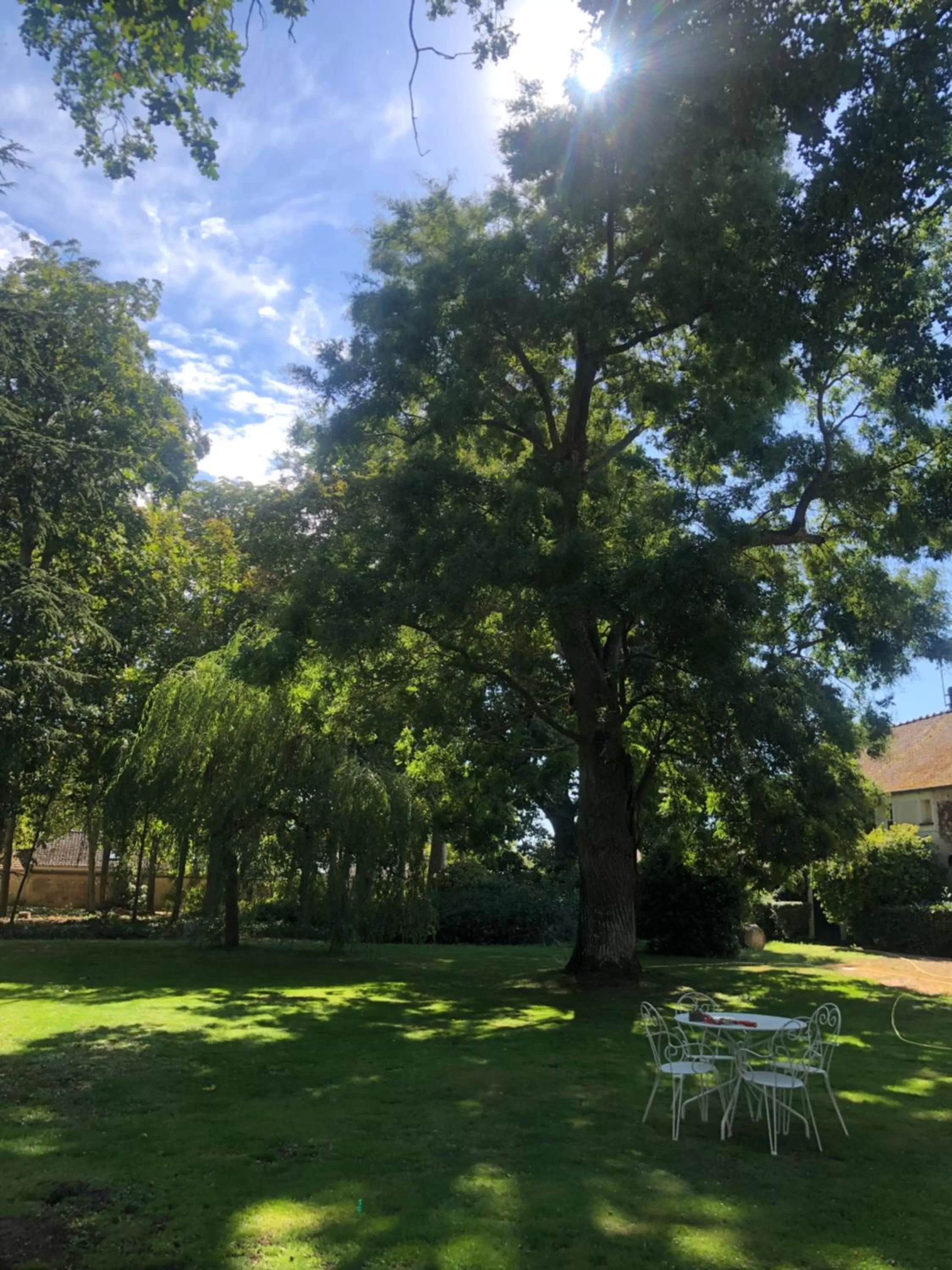 Day, Garden in La plaine de l'Angelus