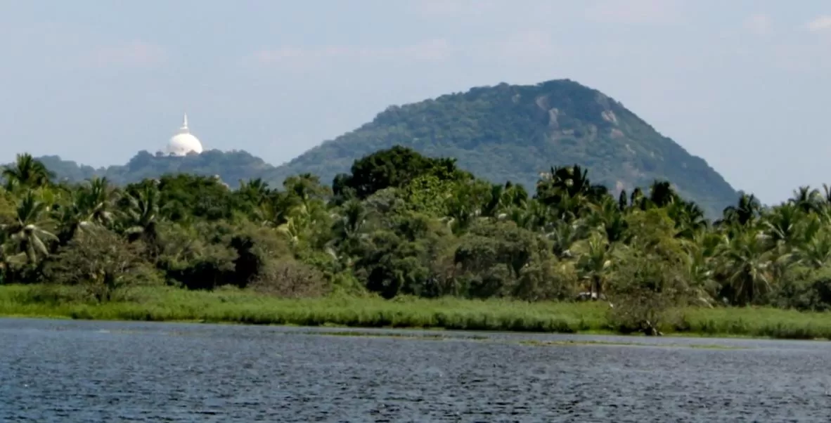 Natural Landscape in Green Cottage