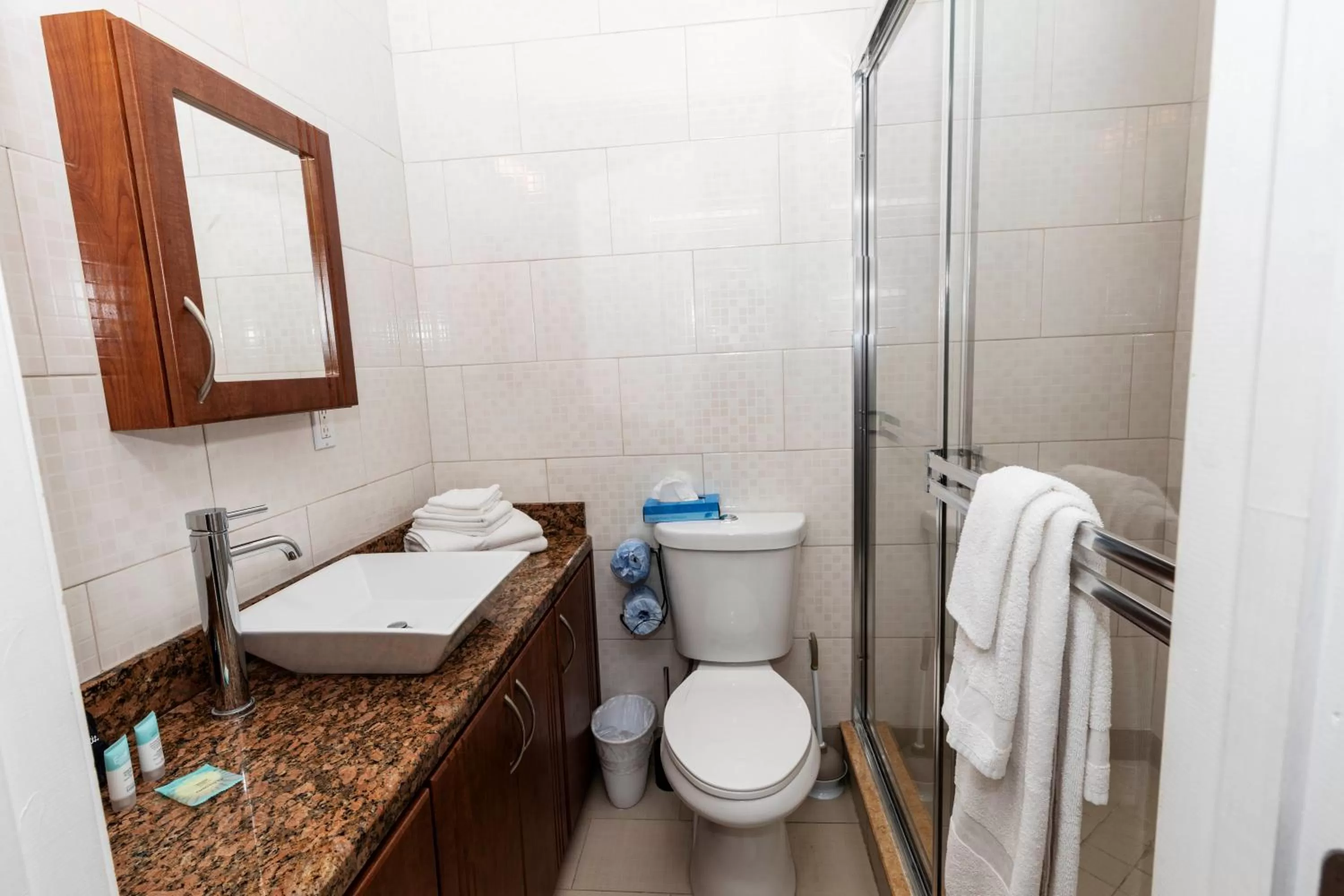 Bathroom in Caribbean Resort by the Ocean