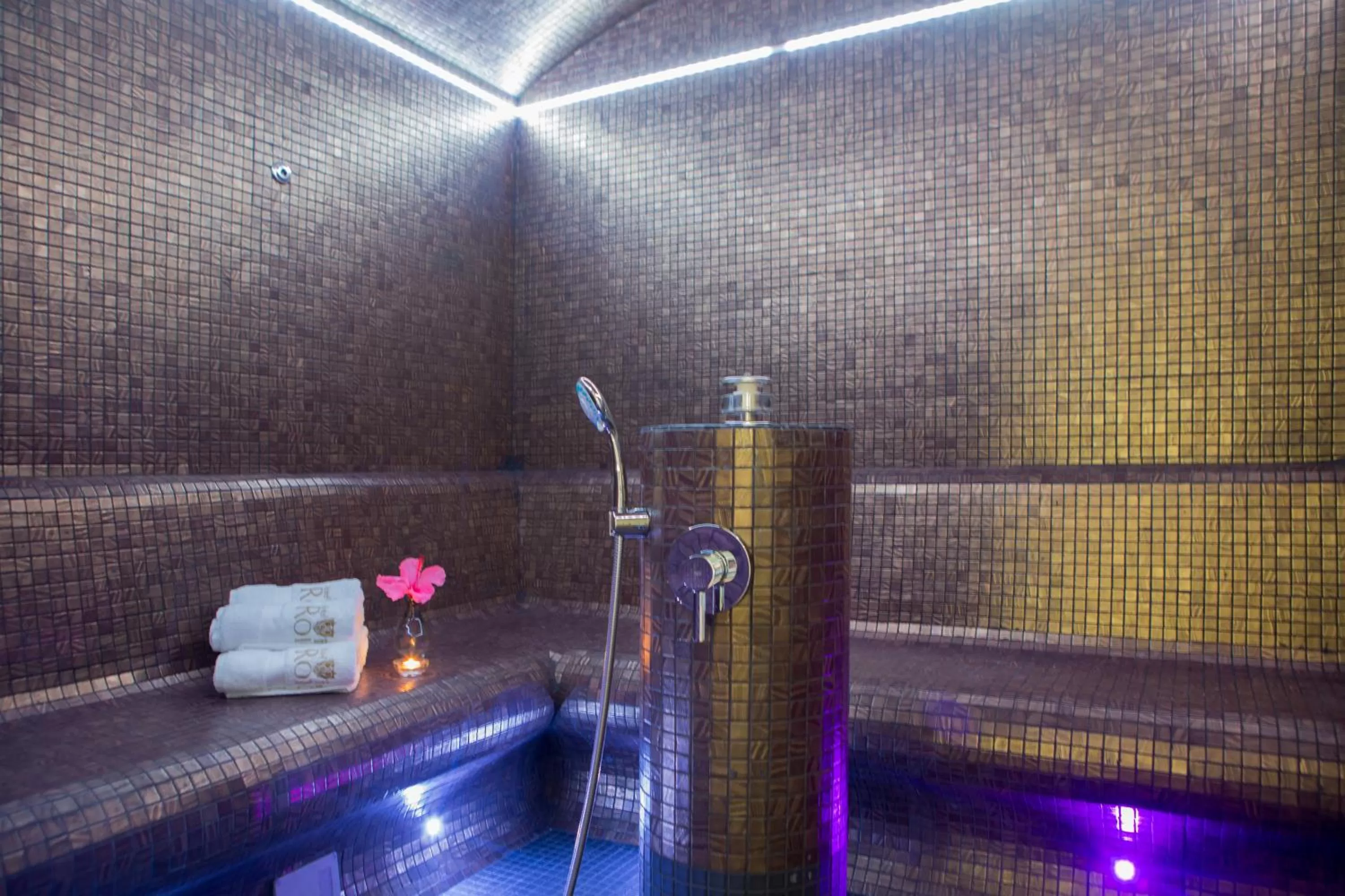 Steam room in Casa Font i Roig