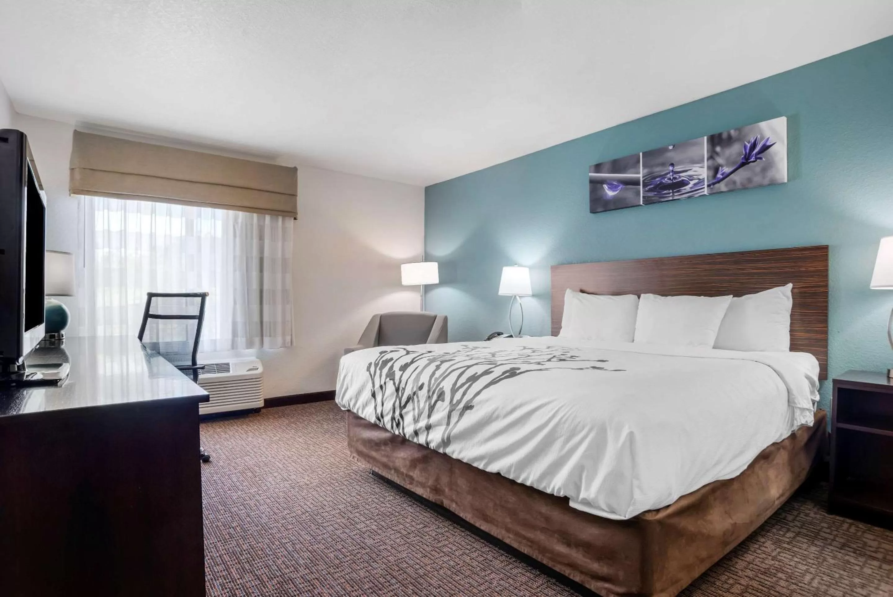 King Room with Roll-In Shower - Accessible/Non-Smoking in Sleep Inn & Suites Auburn Campus Area I-85