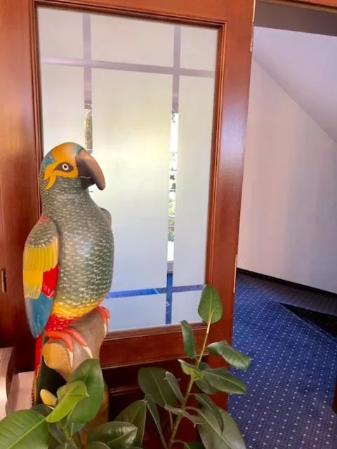 Animals in Hotel-Marks-Garni