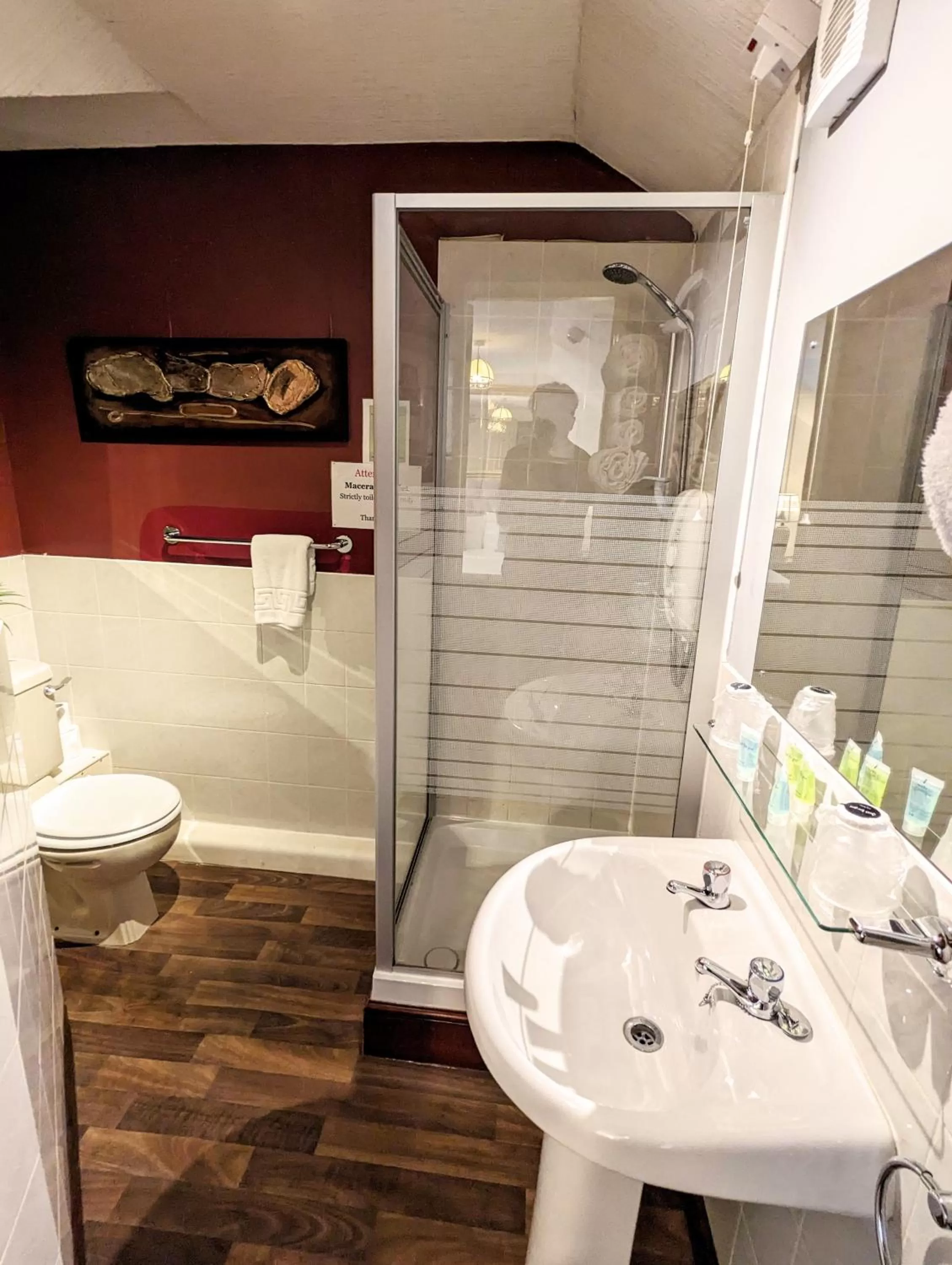 Bathroom in Brookside Hotel & Restaurant ,Suitable for Solo Travelers Couples Educational Groups & Families welcome