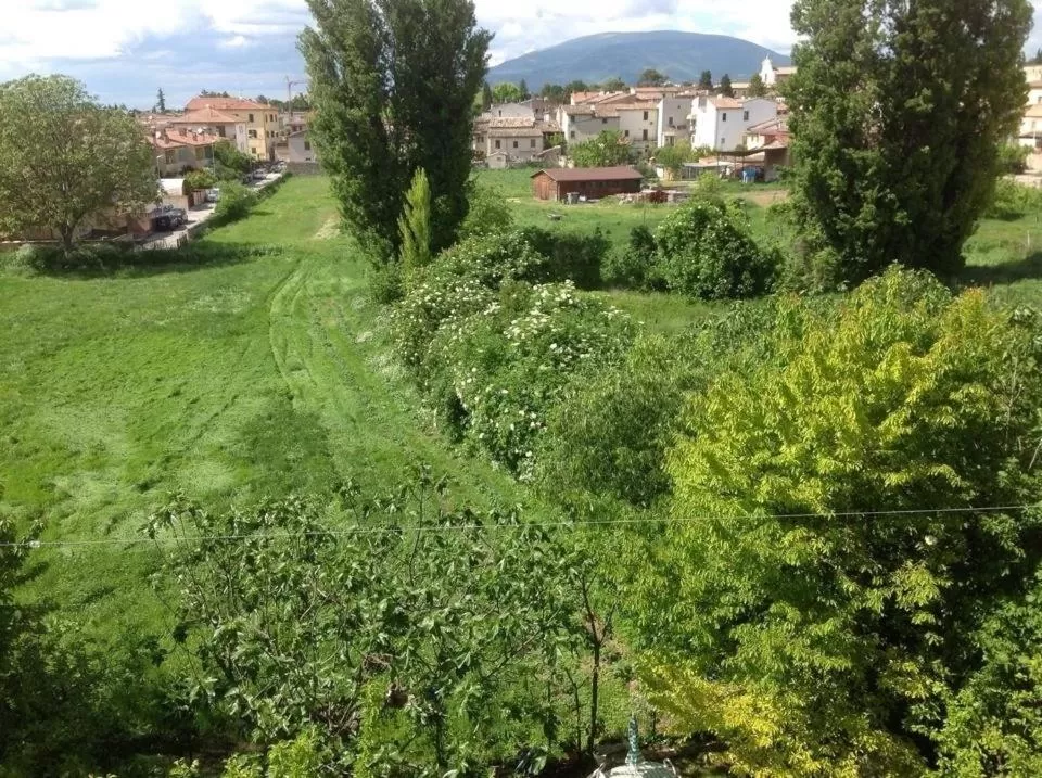 Day in Il Giardino del Gallo