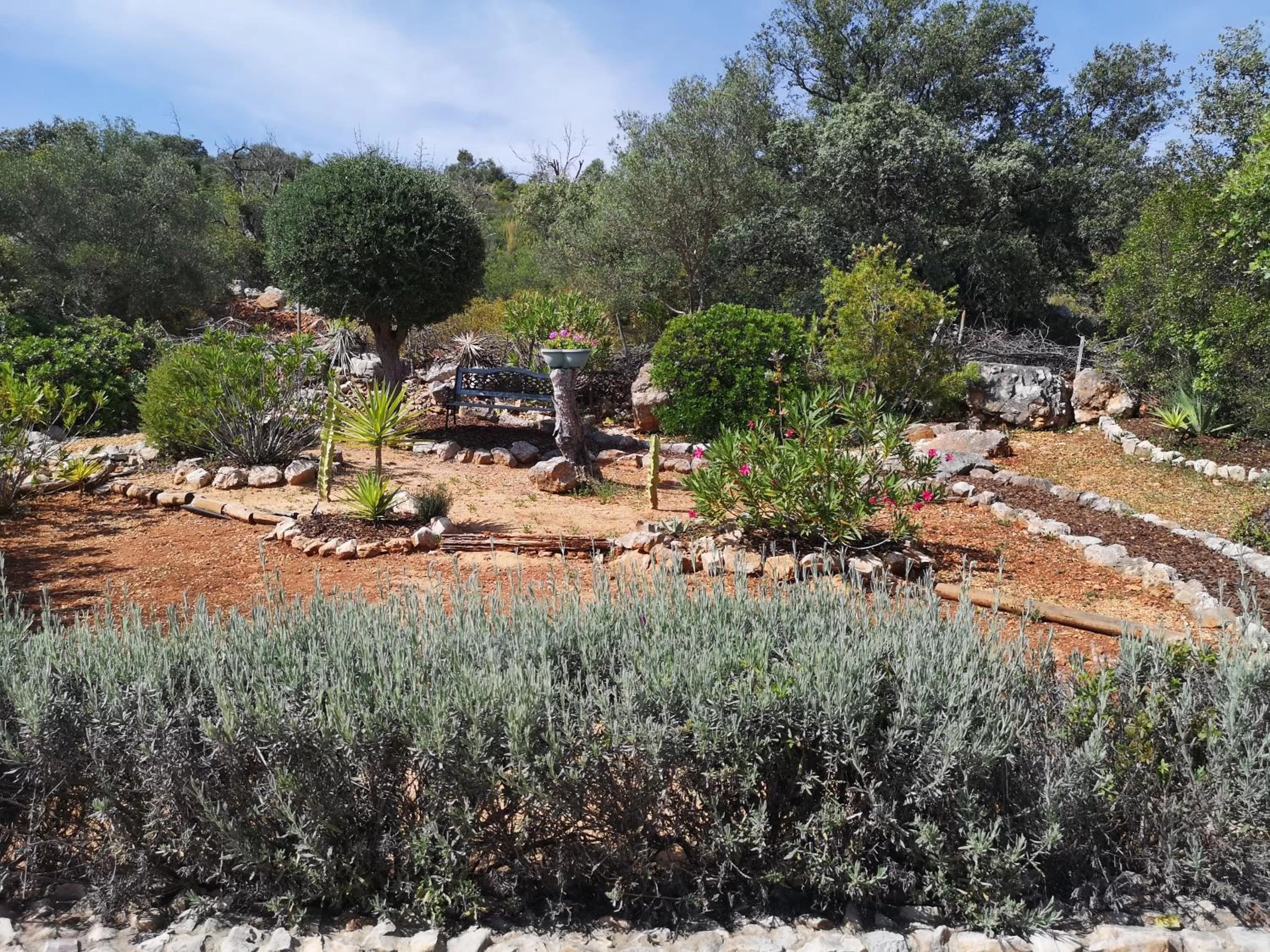 Garden in Quinta Da Familia