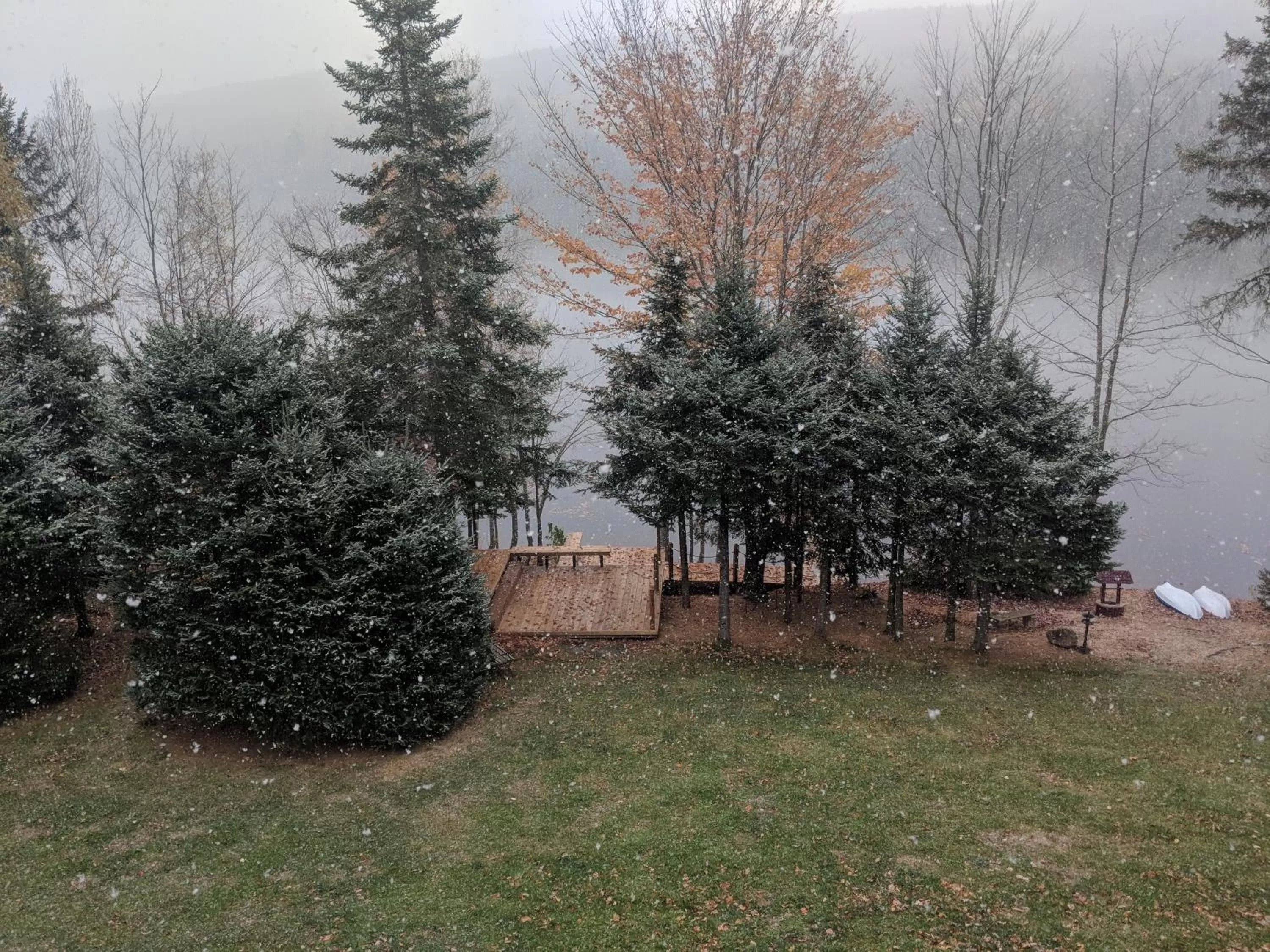 View (from property/room) in Strong Timbers BnB