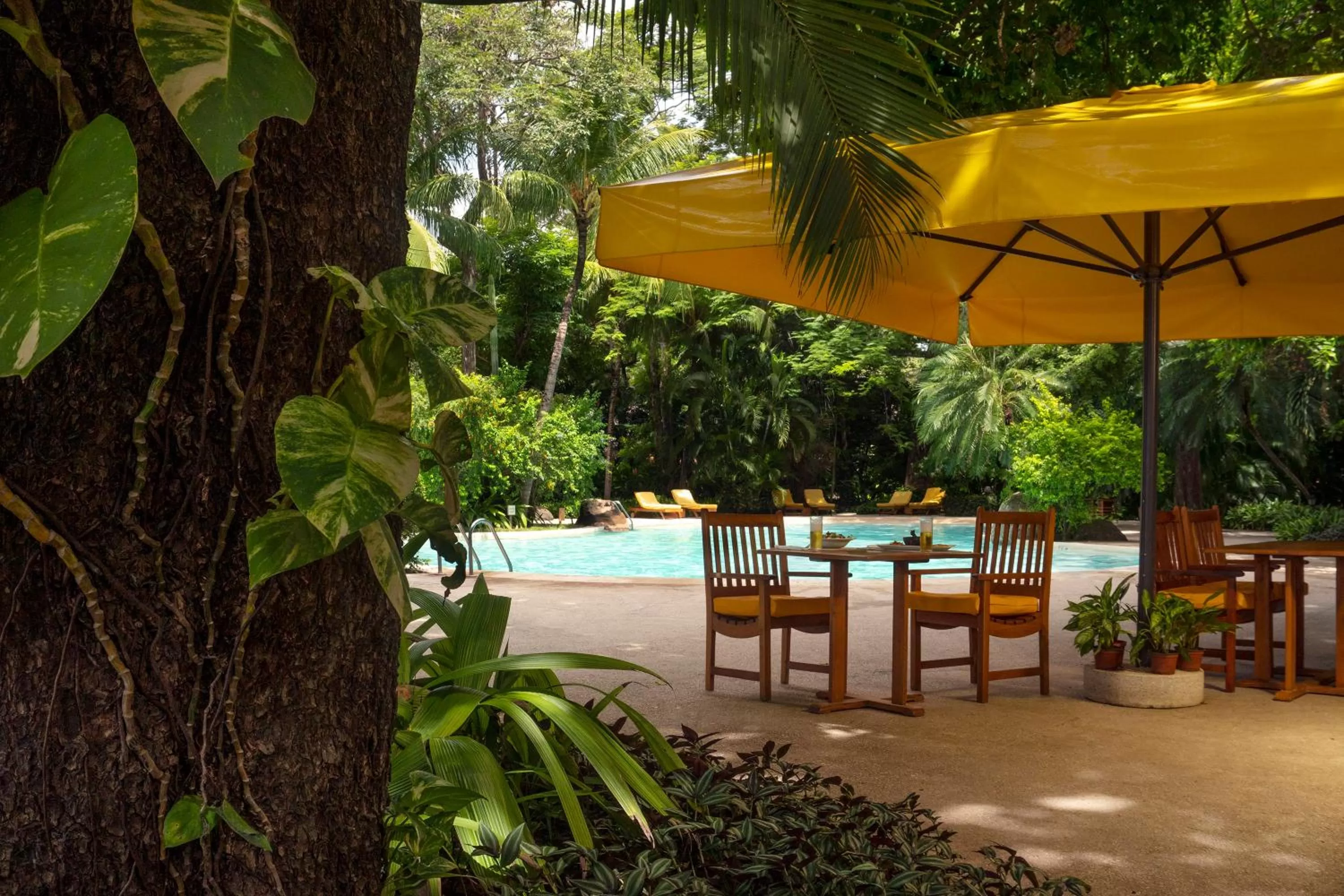 Restaurant/places to eat in Capitán Suizo Beachfront Boutique Hotel