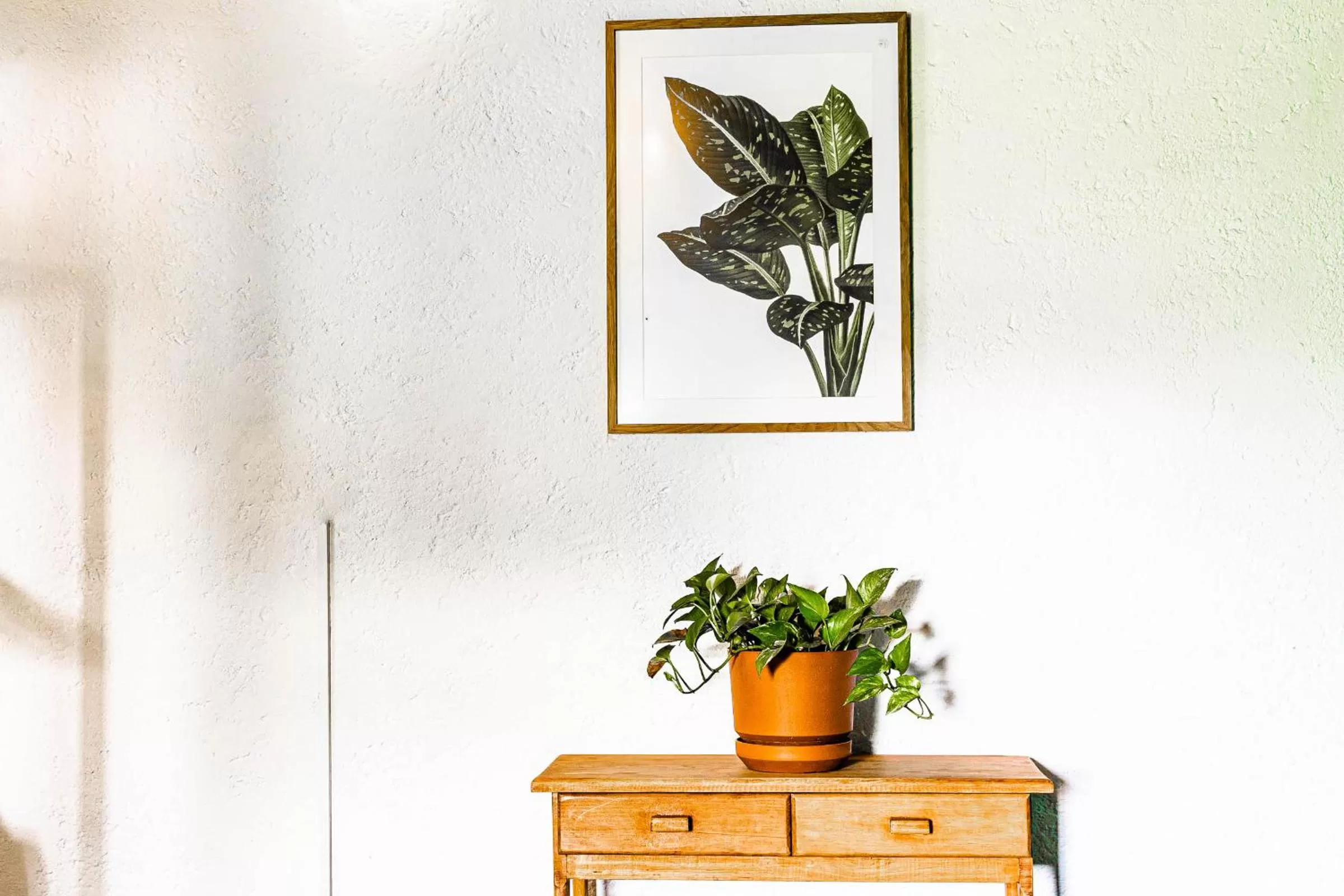 Decorative detail in Colibrí Turquesa