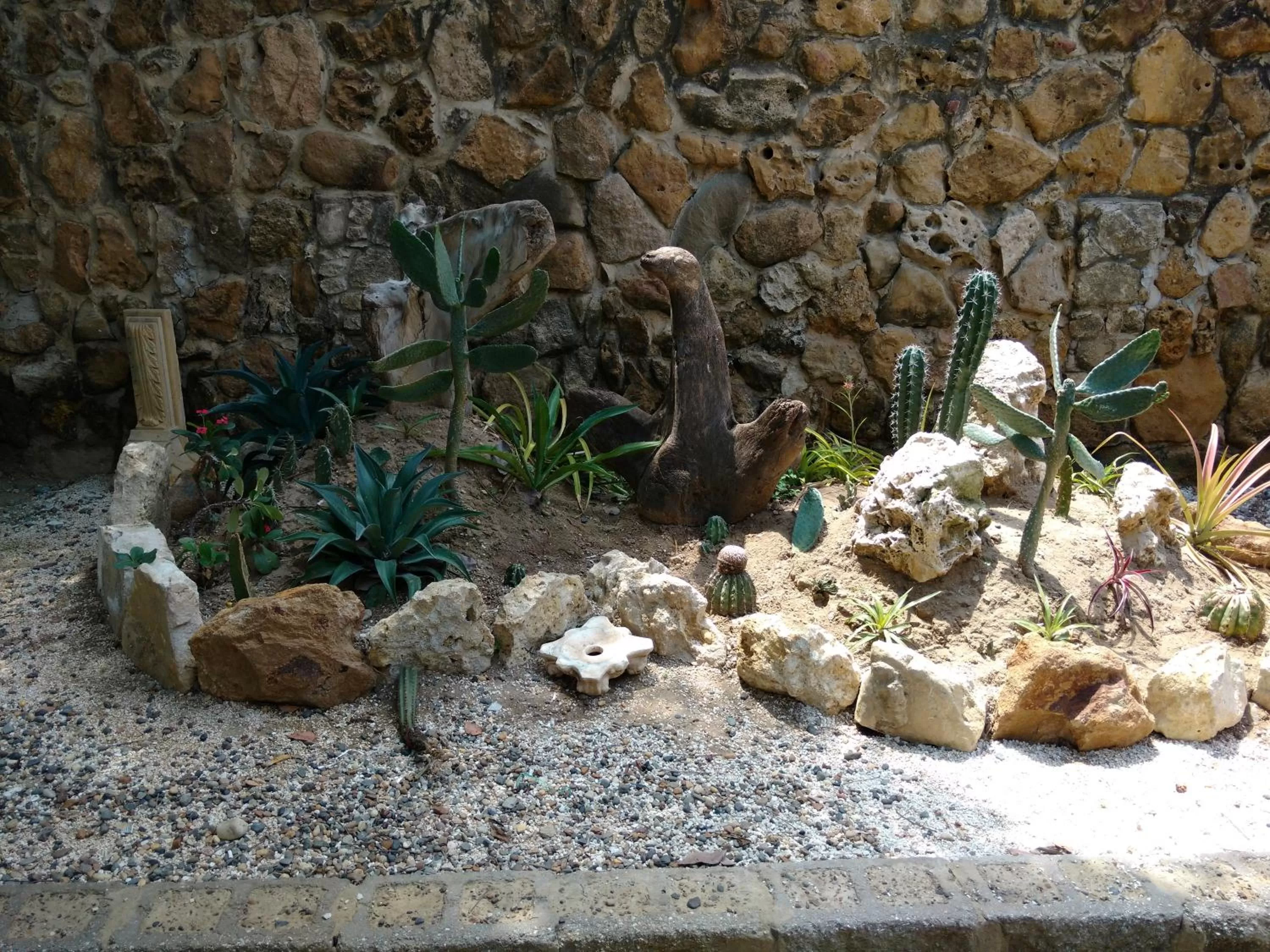 Garden in Hotel Boutique Casa Berastegui