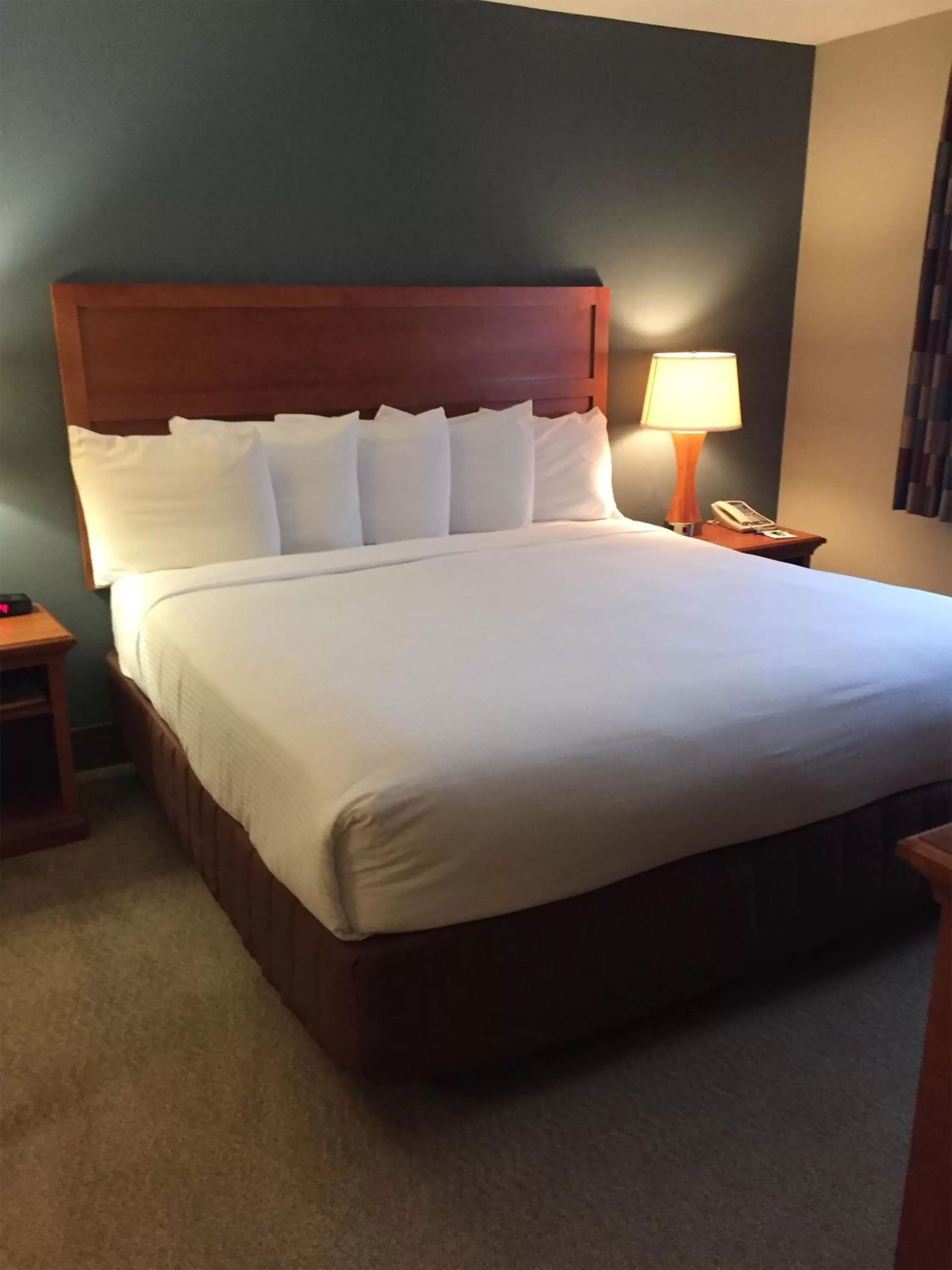 Bed in Isle of Capri Casino Hotel Lula