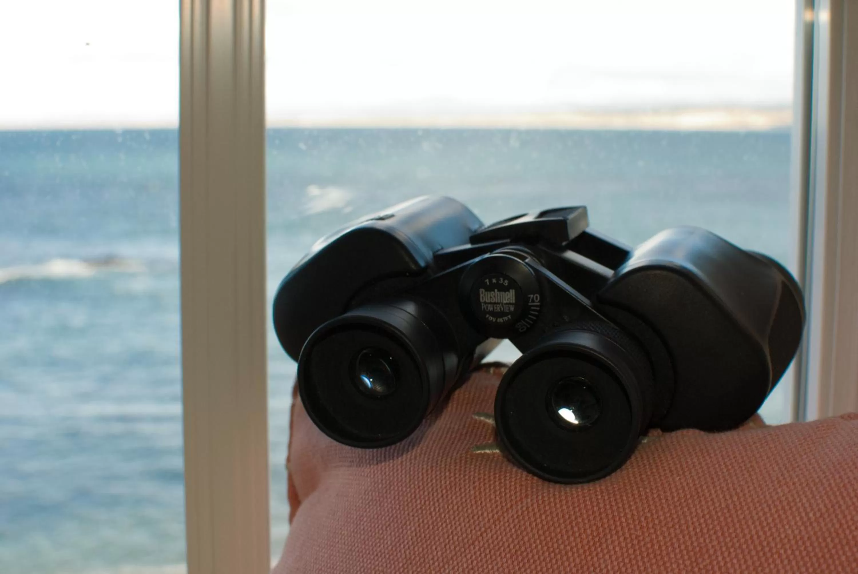 View (from property/room) in Spindrift Inn