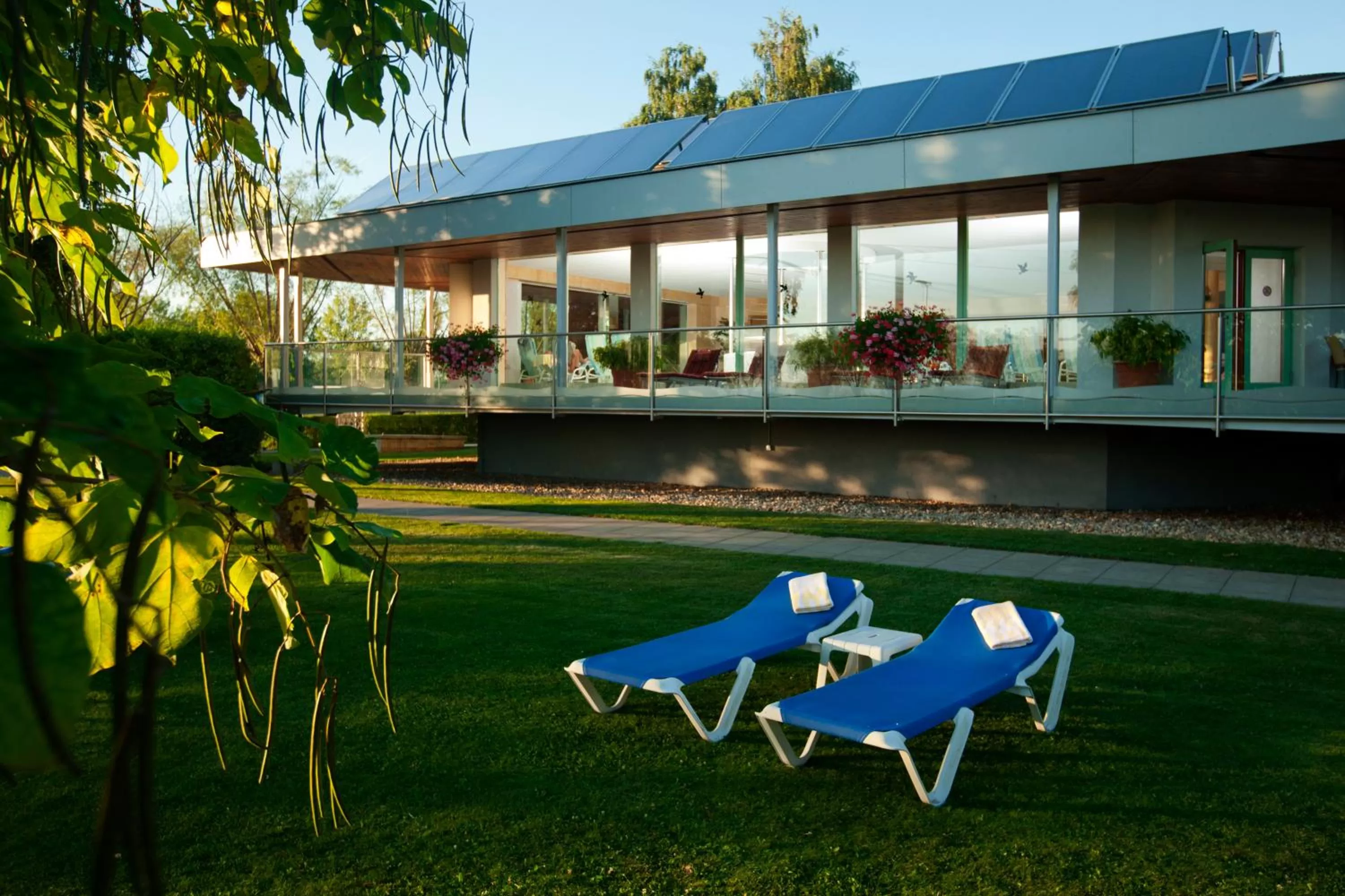 Garden in Hotel Wende