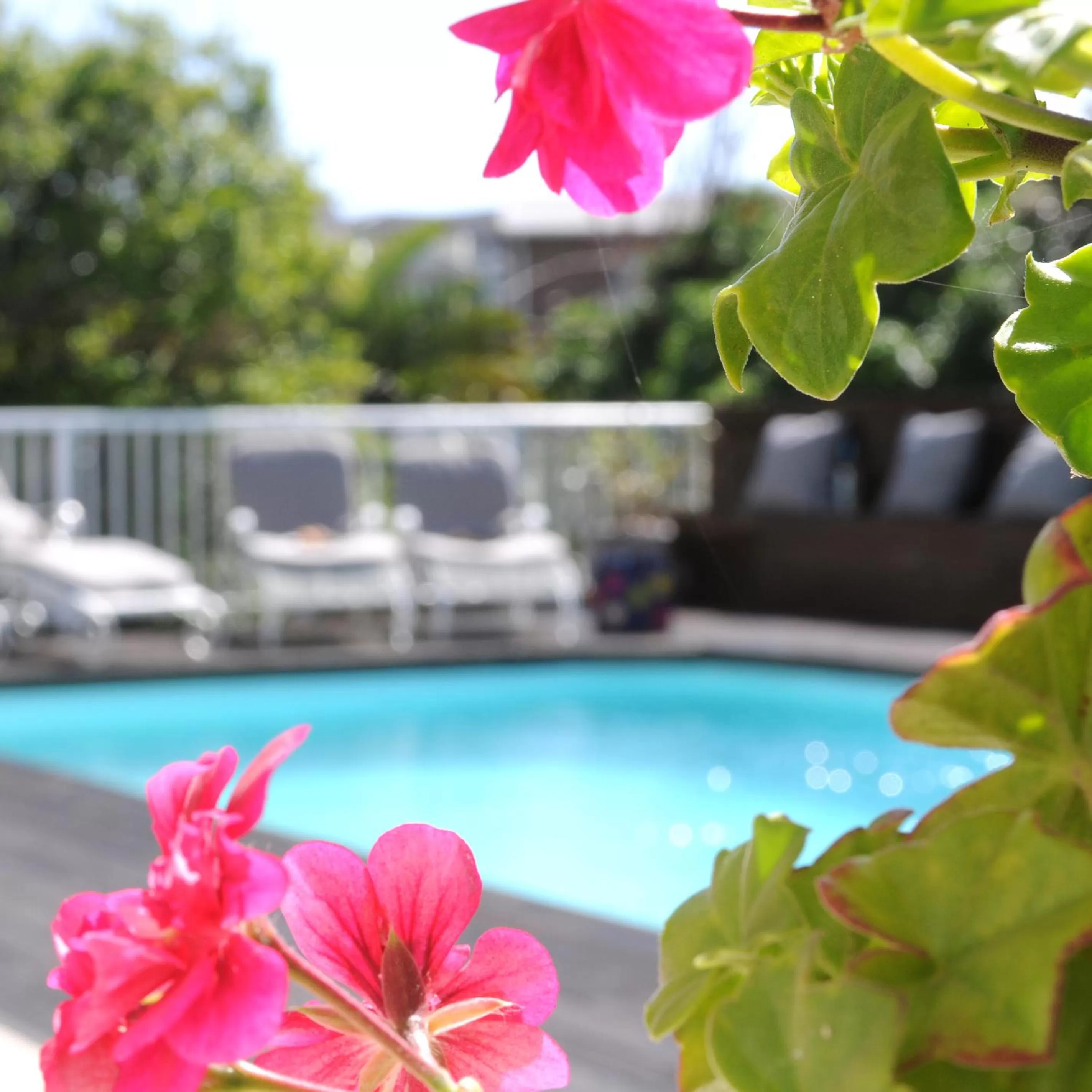 Swimming Pool in The Beach House