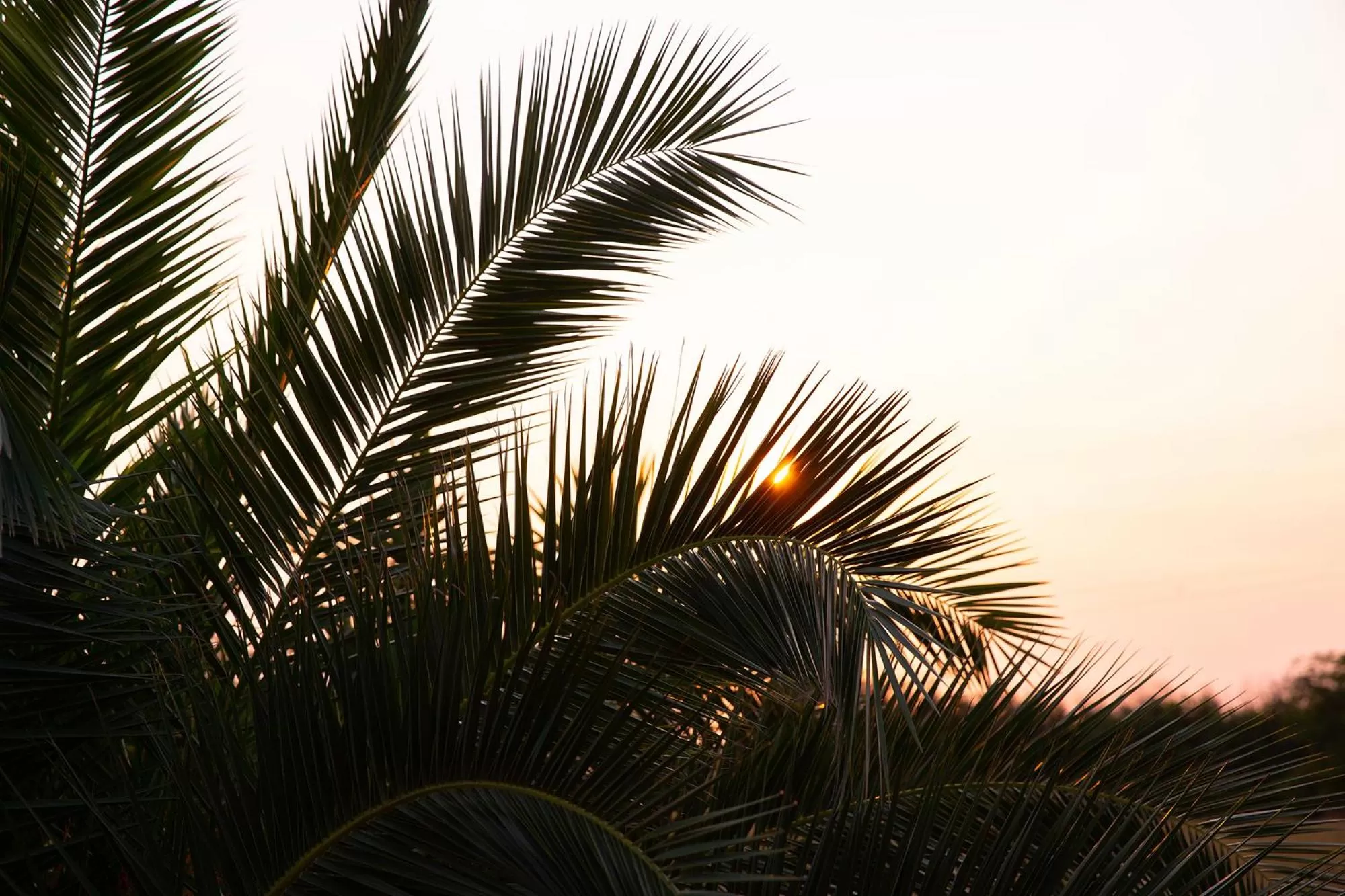 Sunrise in Estremoz Hotel