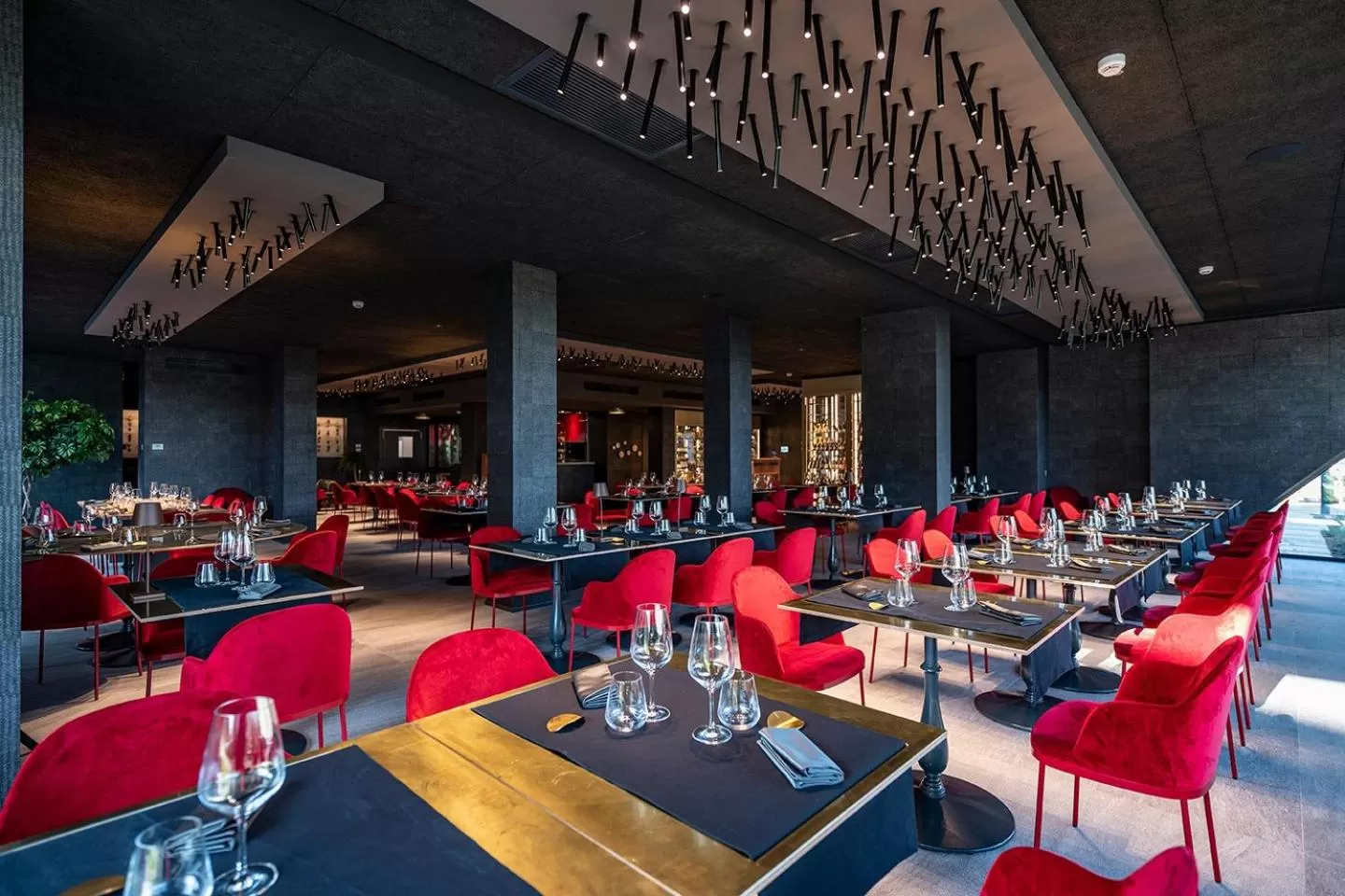 Restaurant/places to eat in Phi Hotel Piajo