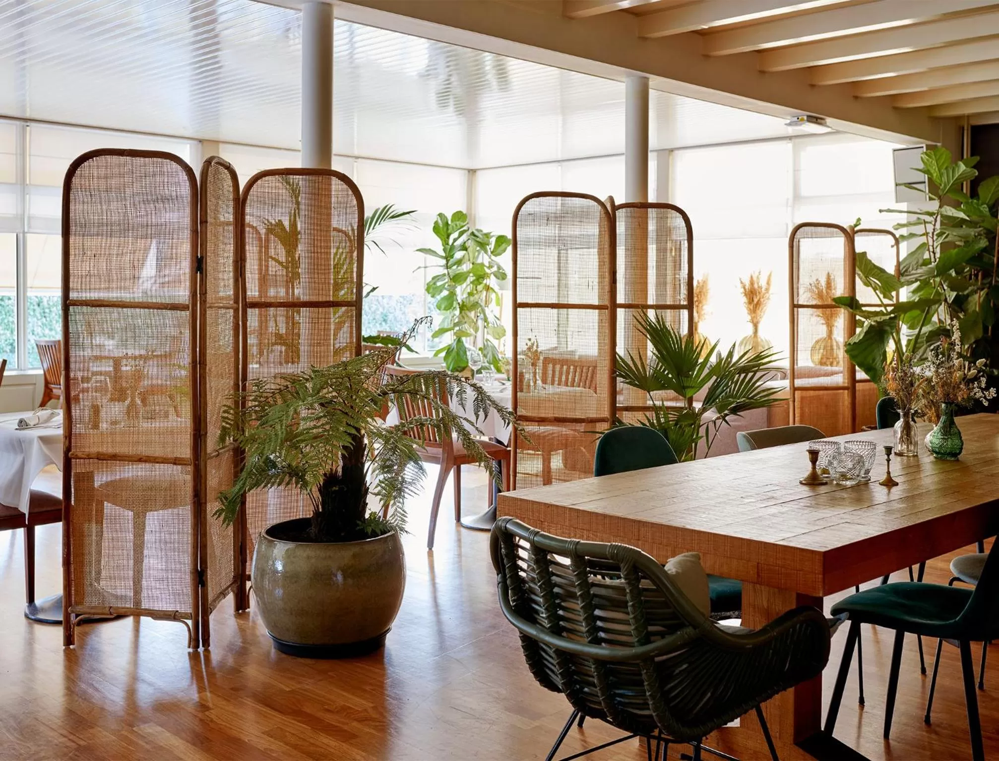 Restaurant/places to eat in Hotel Zonne