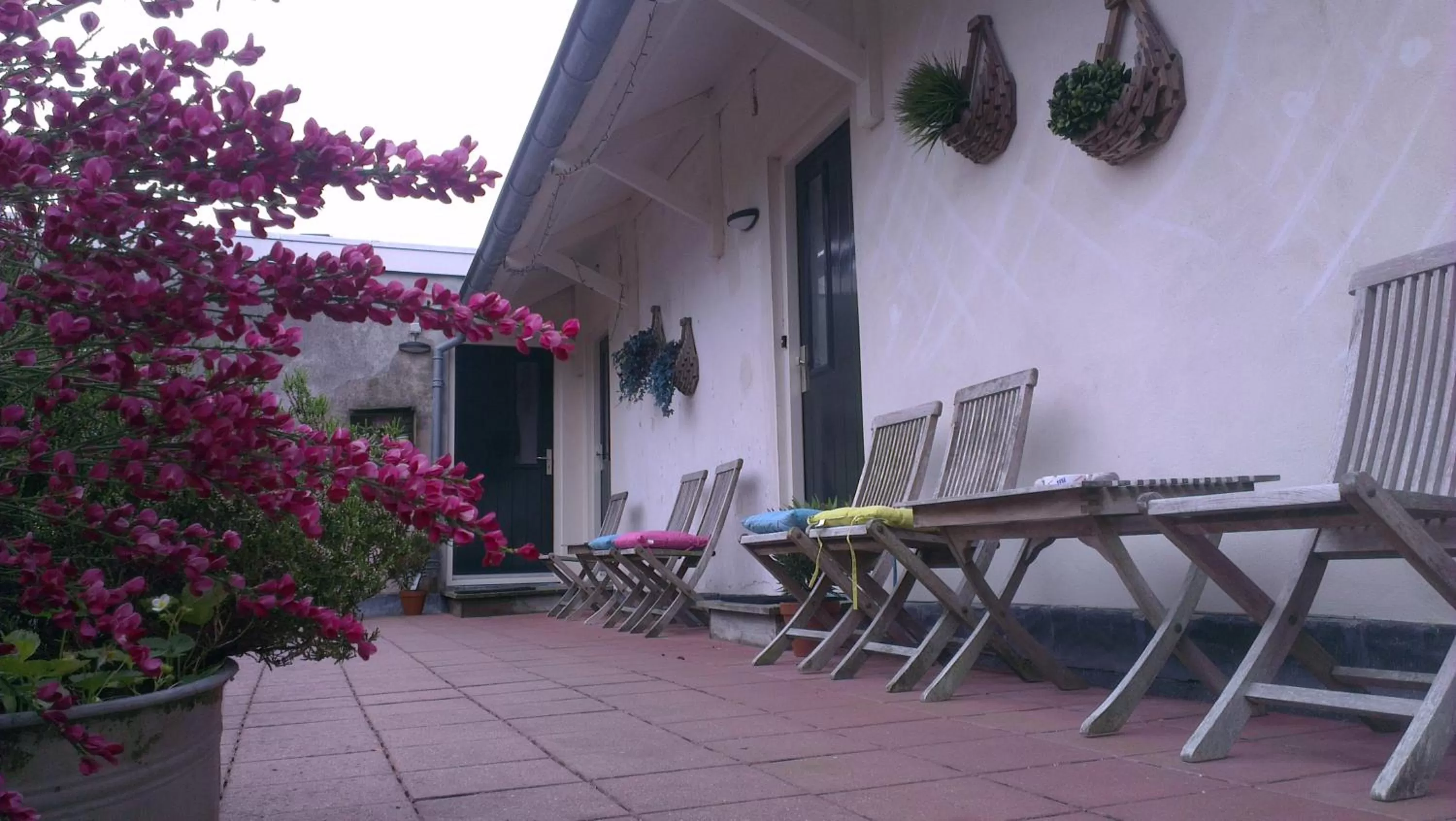 Facade/entrance in Logement 'De witte klok'