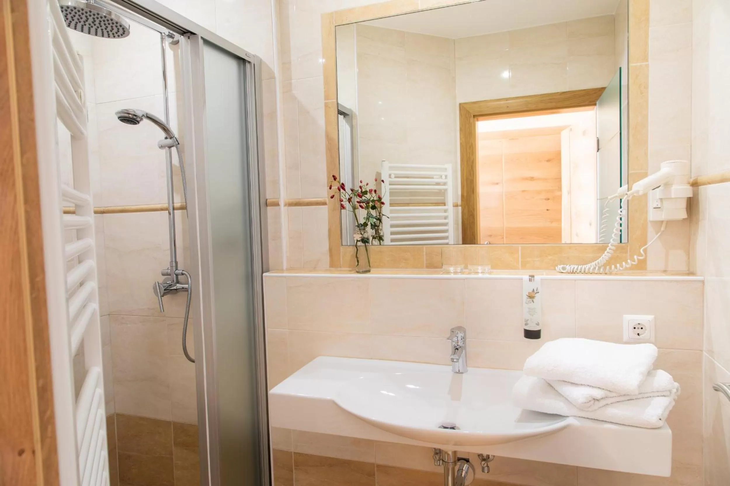 Bathroom in Bed and Breakfast Mittelkärnten