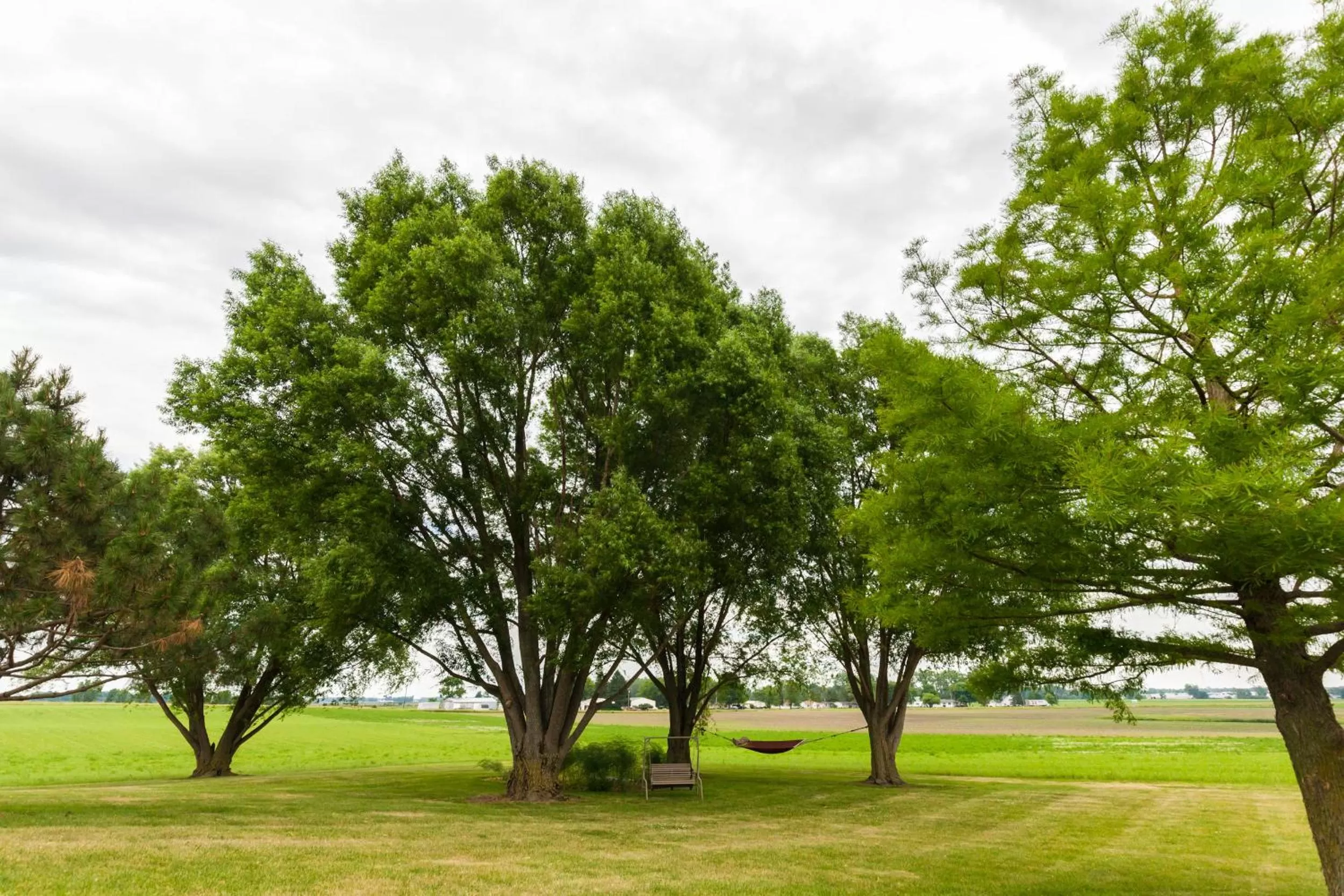 Scottish Bed & Breakfast