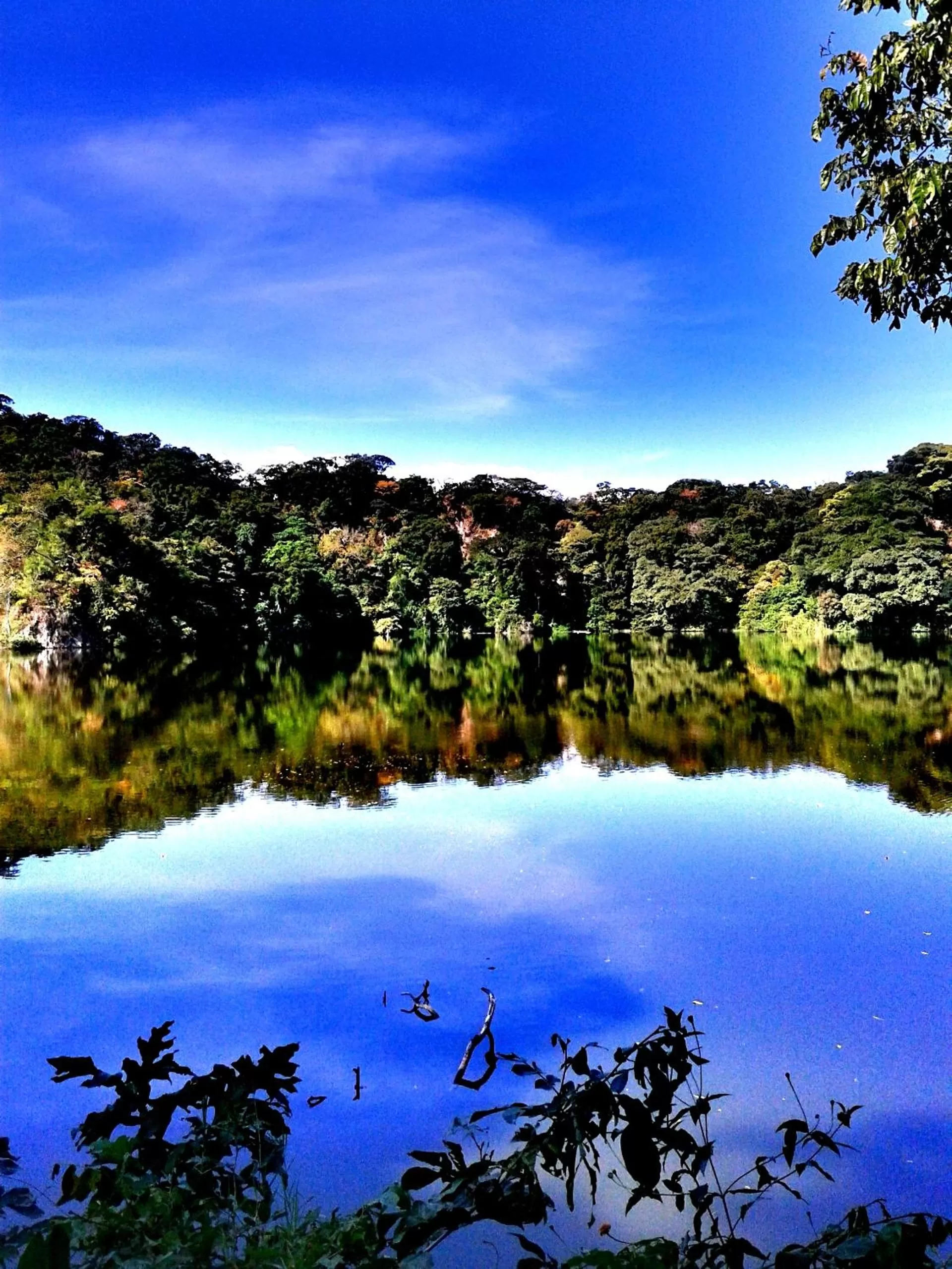 Natural landscape in Hotel Casa Alvarada