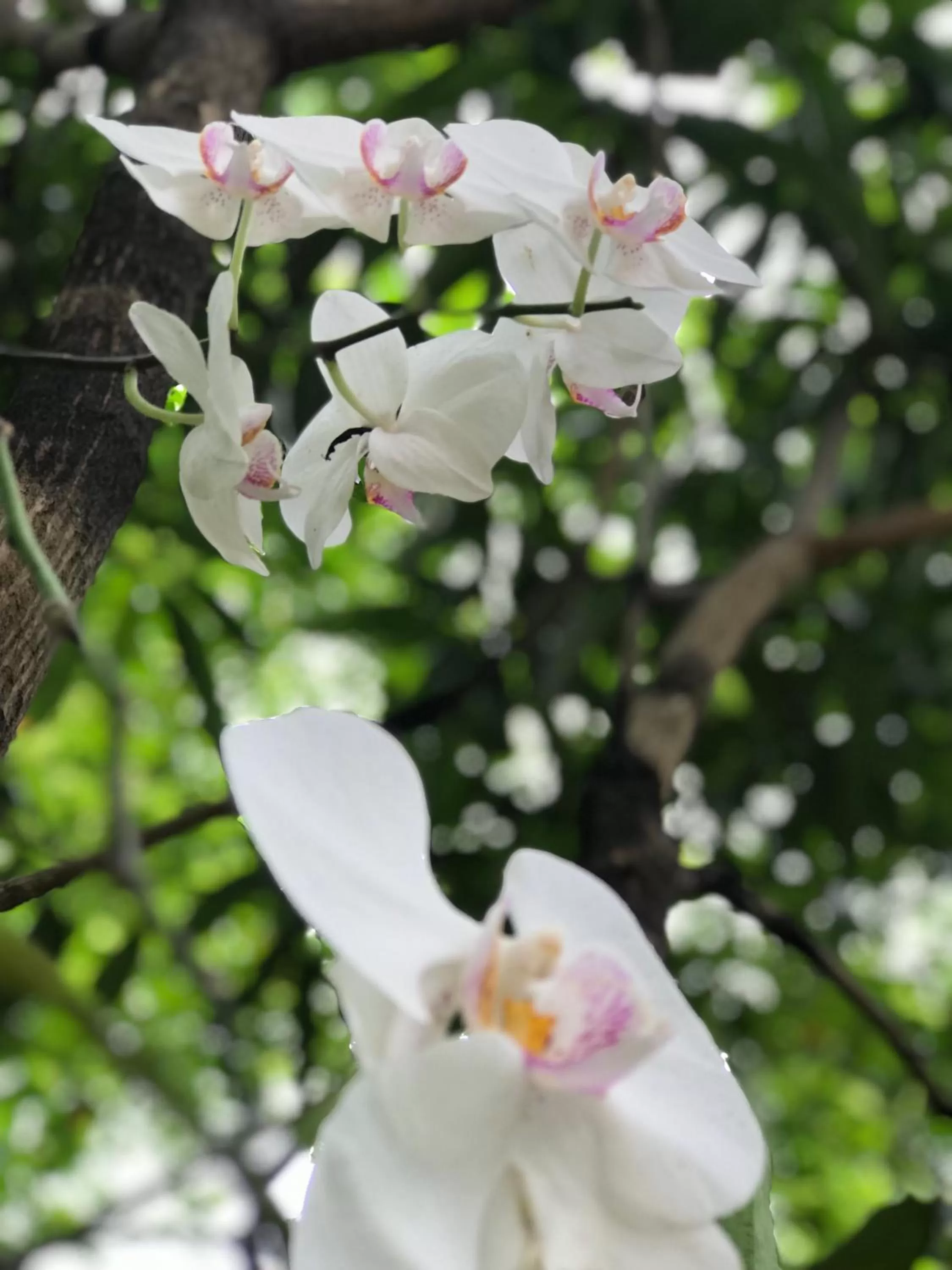 Green Edge Residences