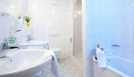 Day, Bathroom in Hotel am Waldbad