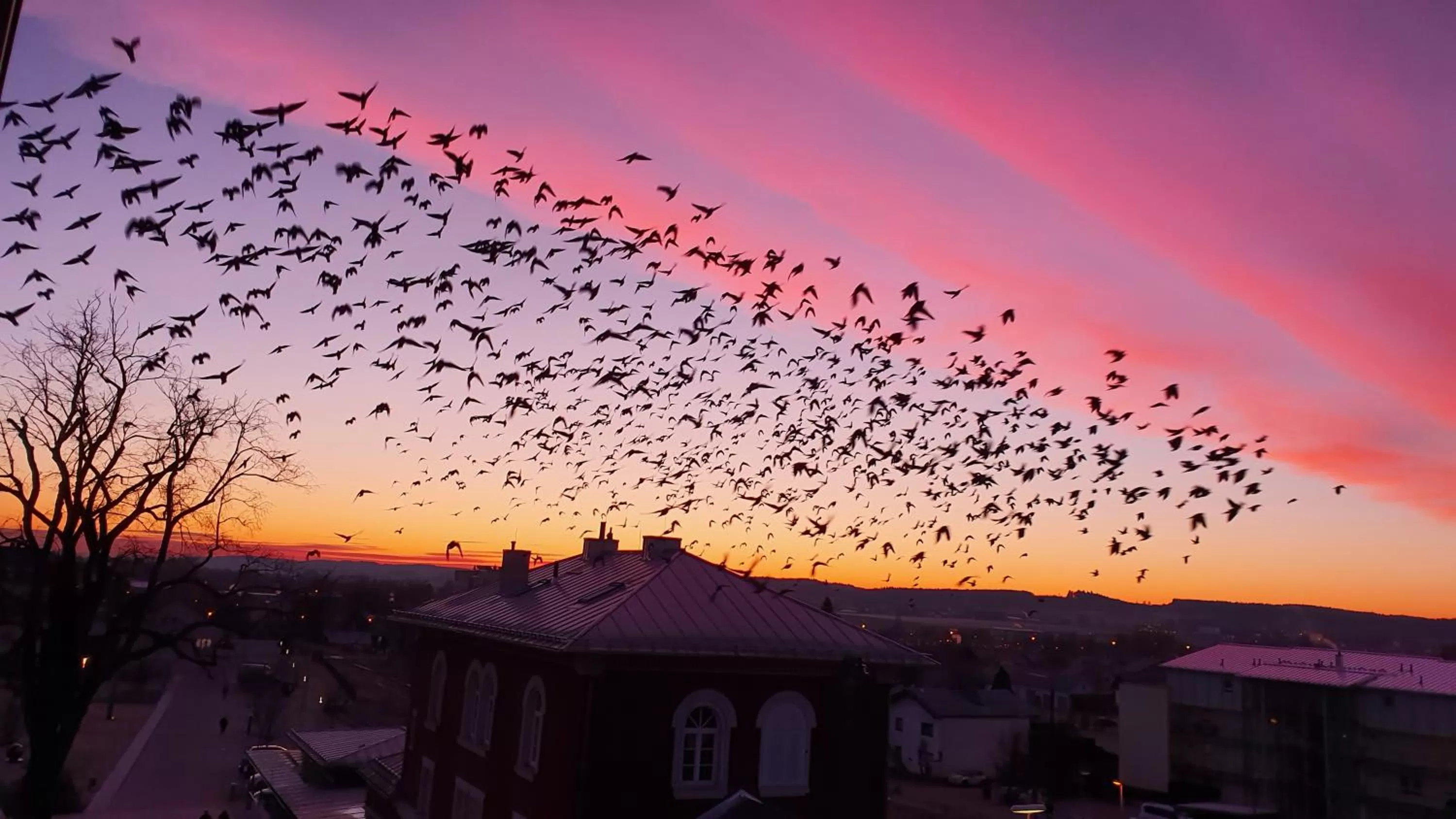 Sunrise in Parkhotel Pfarrkirchen