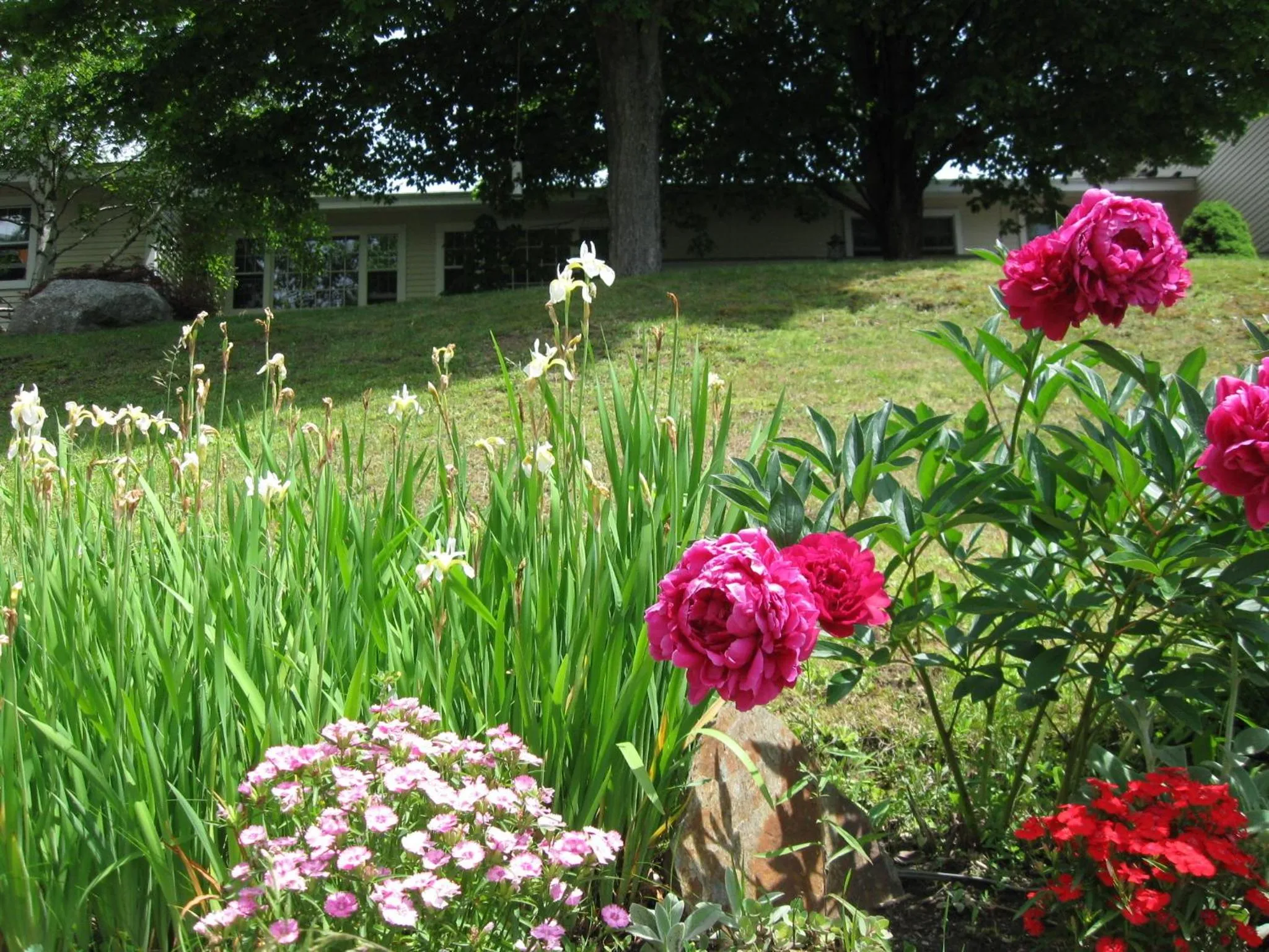 Spring in Deerhill Inn