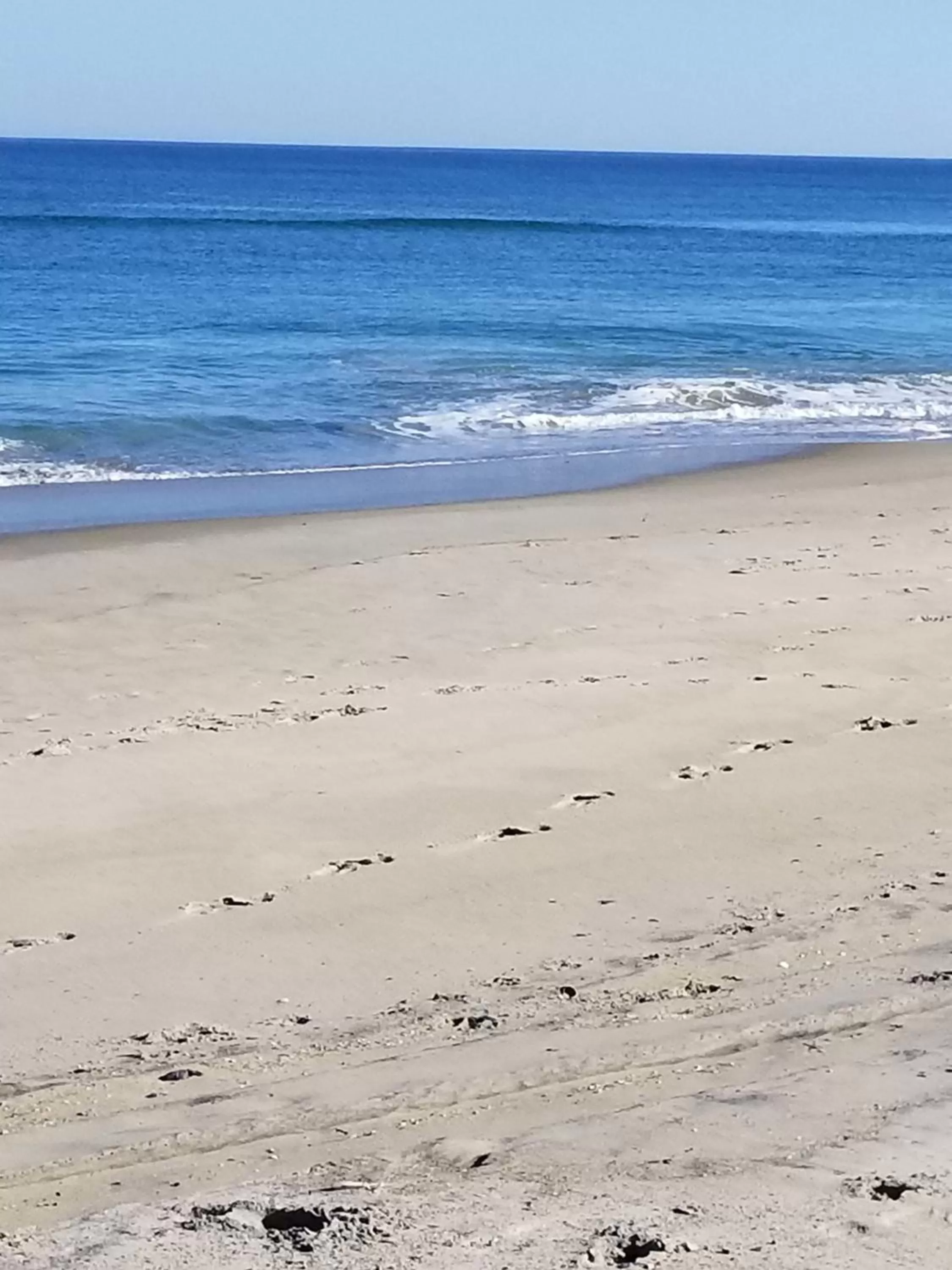 Beach in Ocean Pines Resort