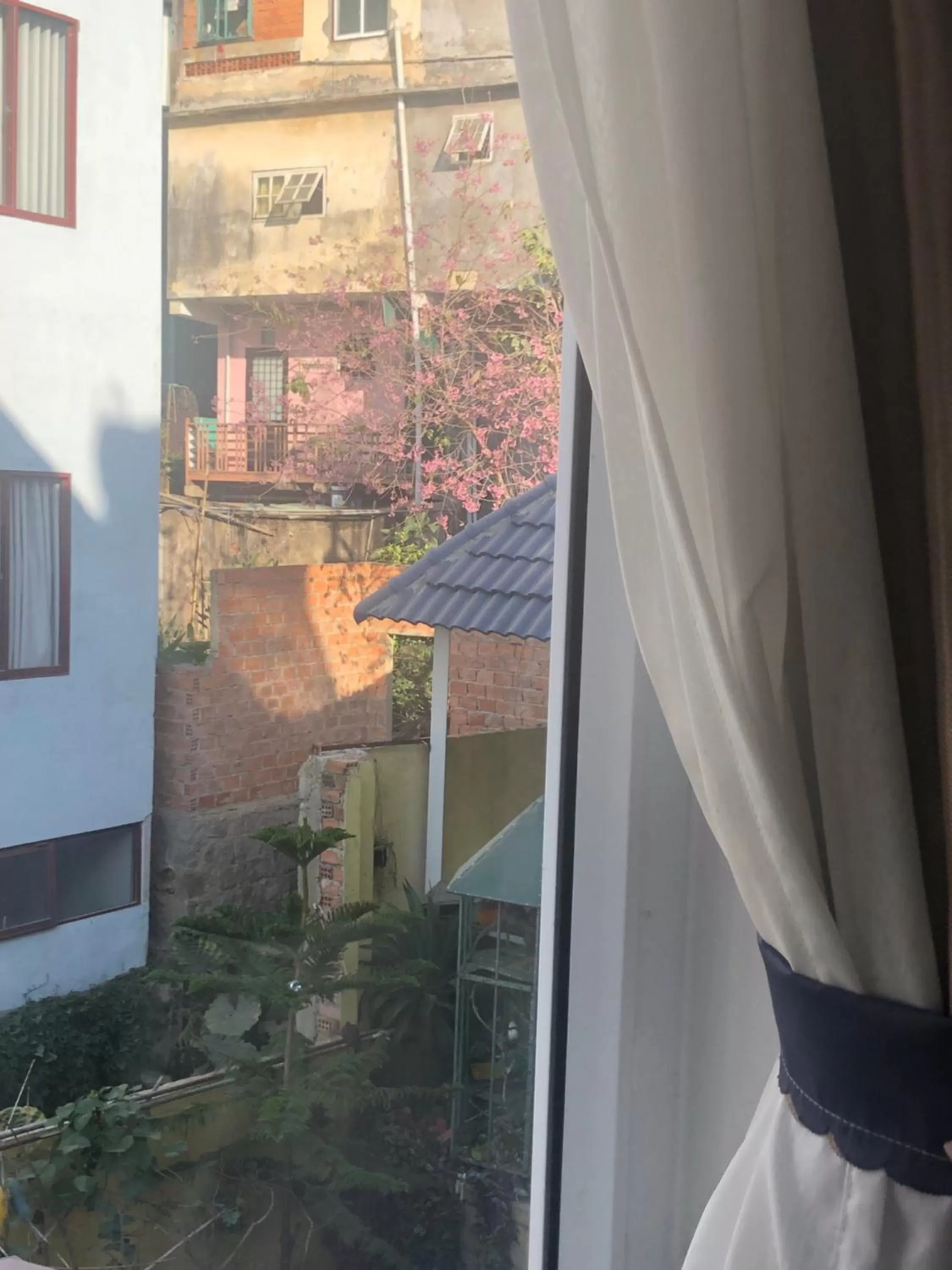 Garden view in Villa - Hotel Nam Khang 2 Dalat