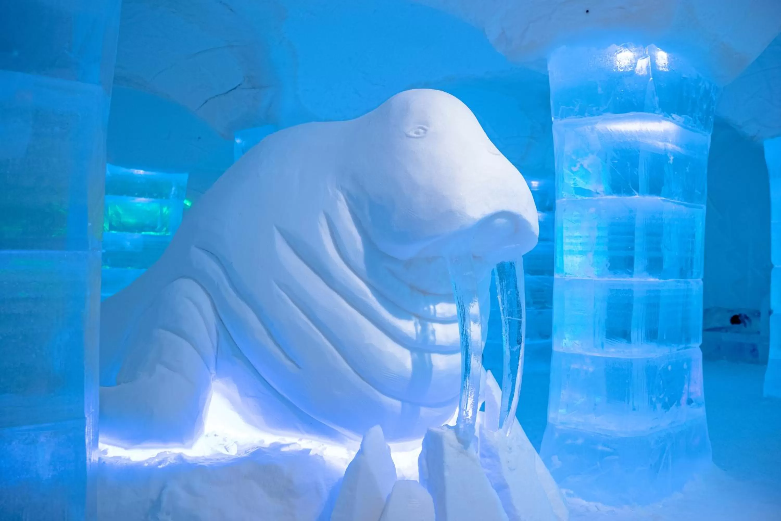 Lobby or reception in Sorrisniva Igloo Hotel