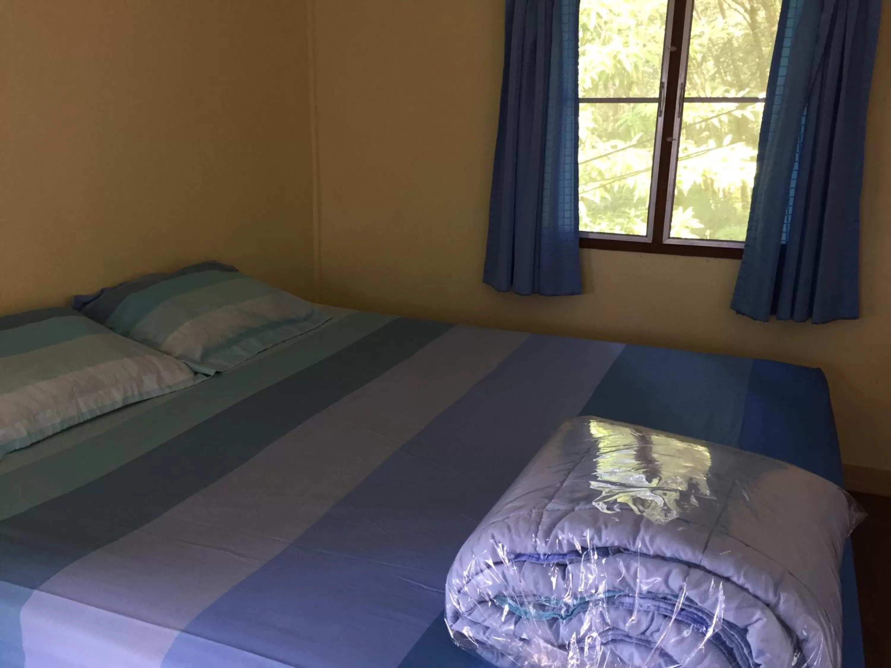 Bed in Elephant & Castle