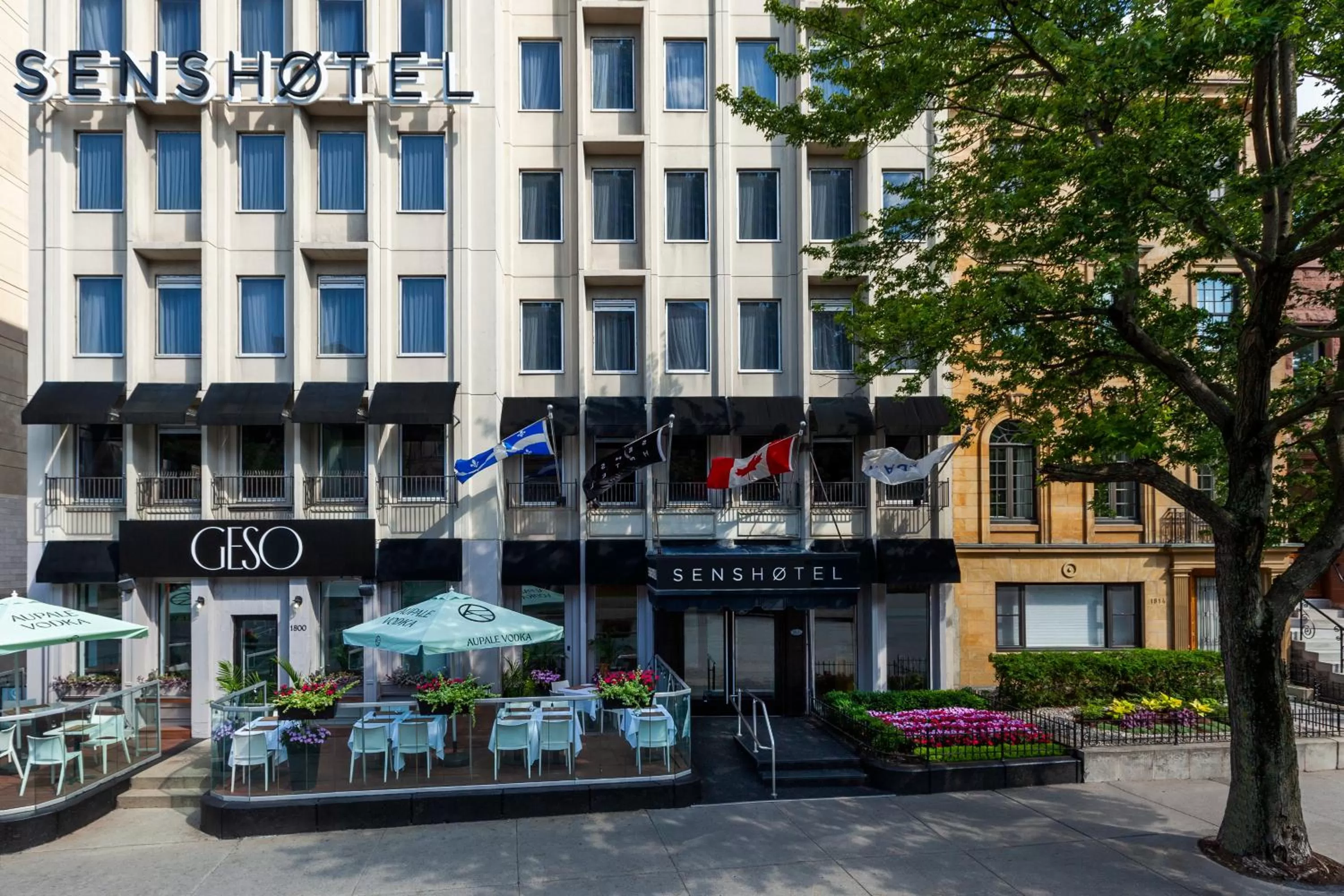 Property building in SENS Høtel