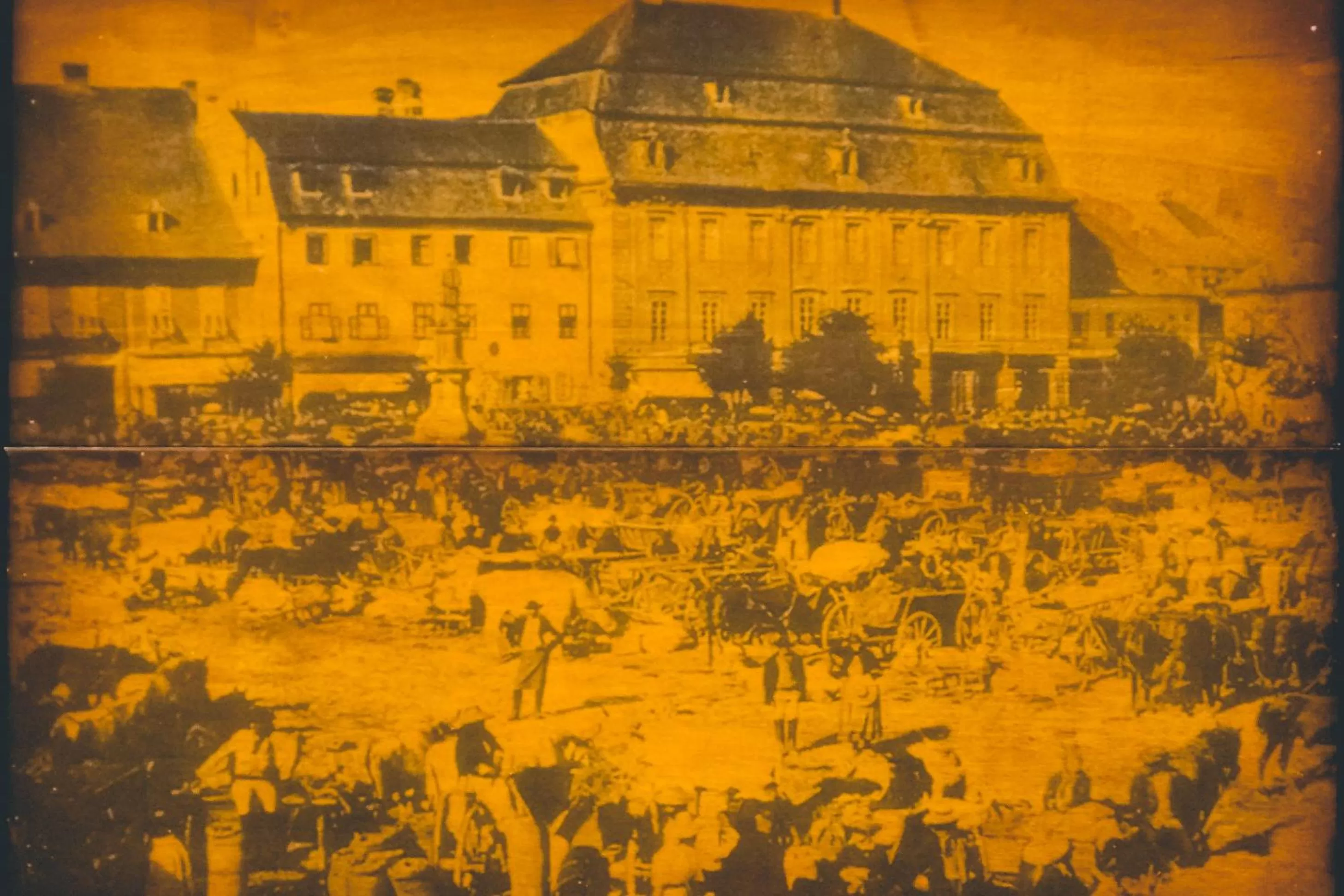 hair dresser in MAGISTER seven