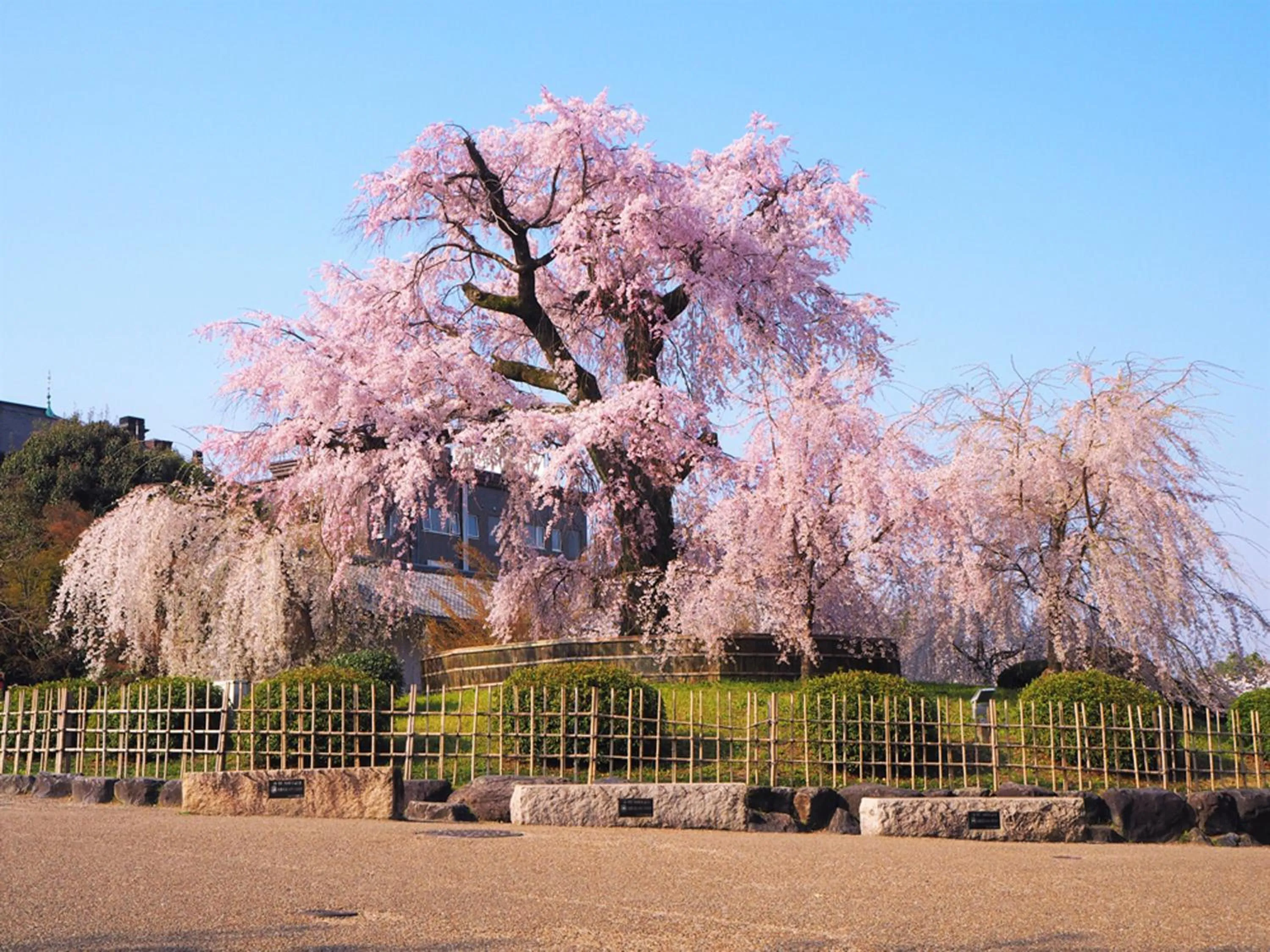 Nearby landmark in Sowaka
