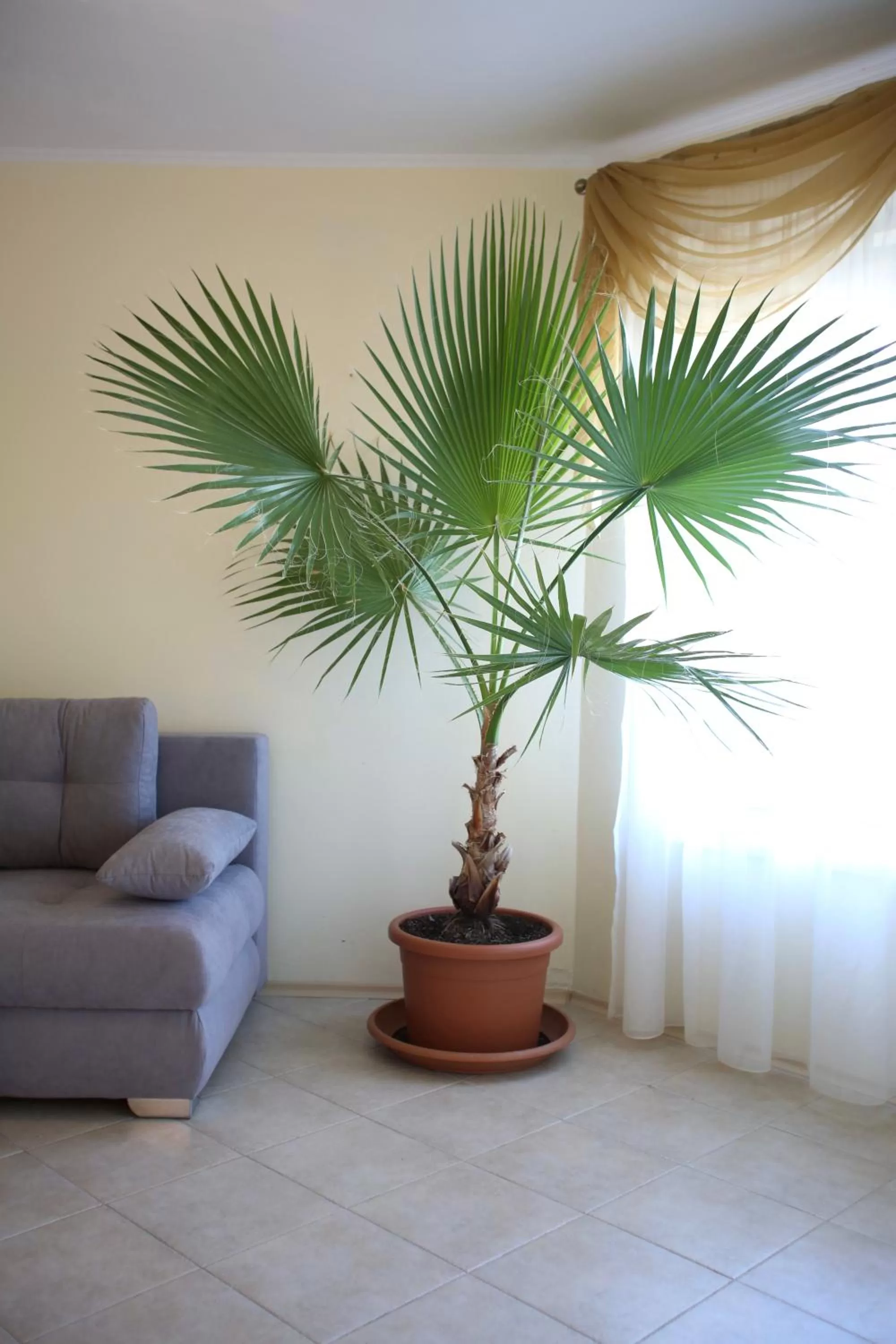 Villa Livia Boutique Apartments