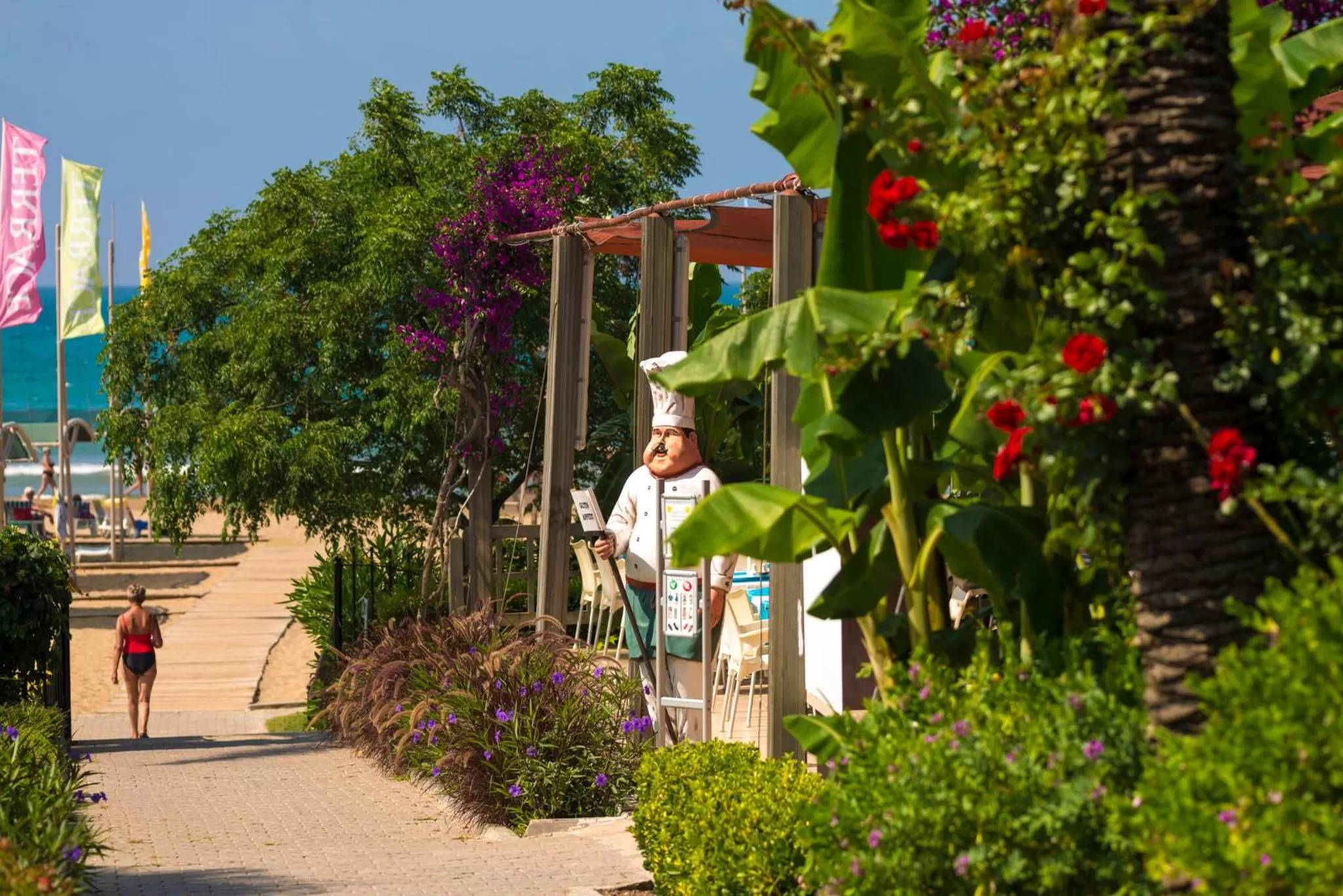 Food close-up in Hotel Terrace Beach Resort All Inclusive