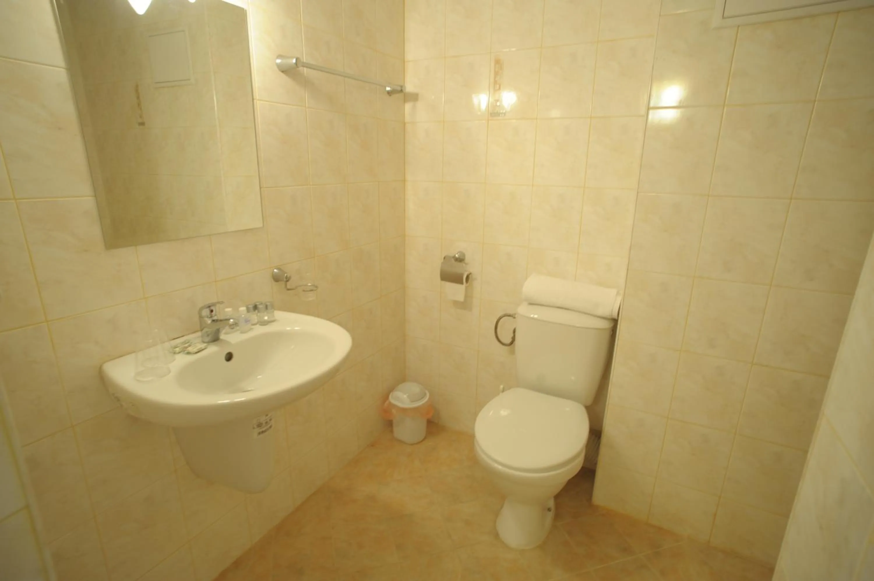 Bathroom in Hotel Alexander