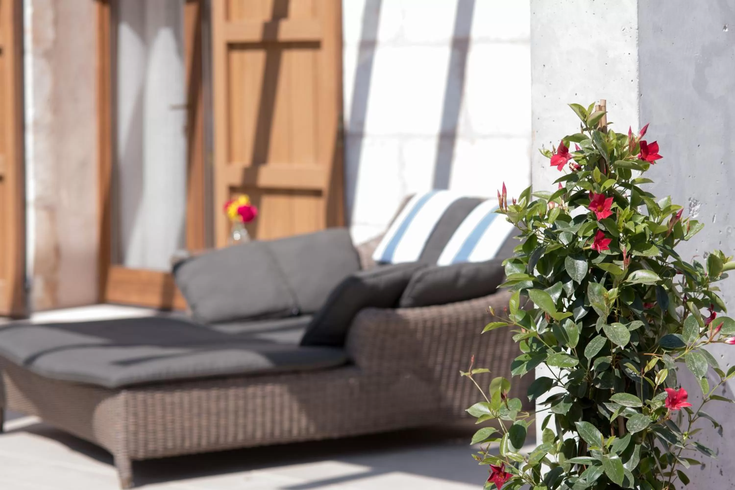 Balcony/Terrace in Casa Font i Roig