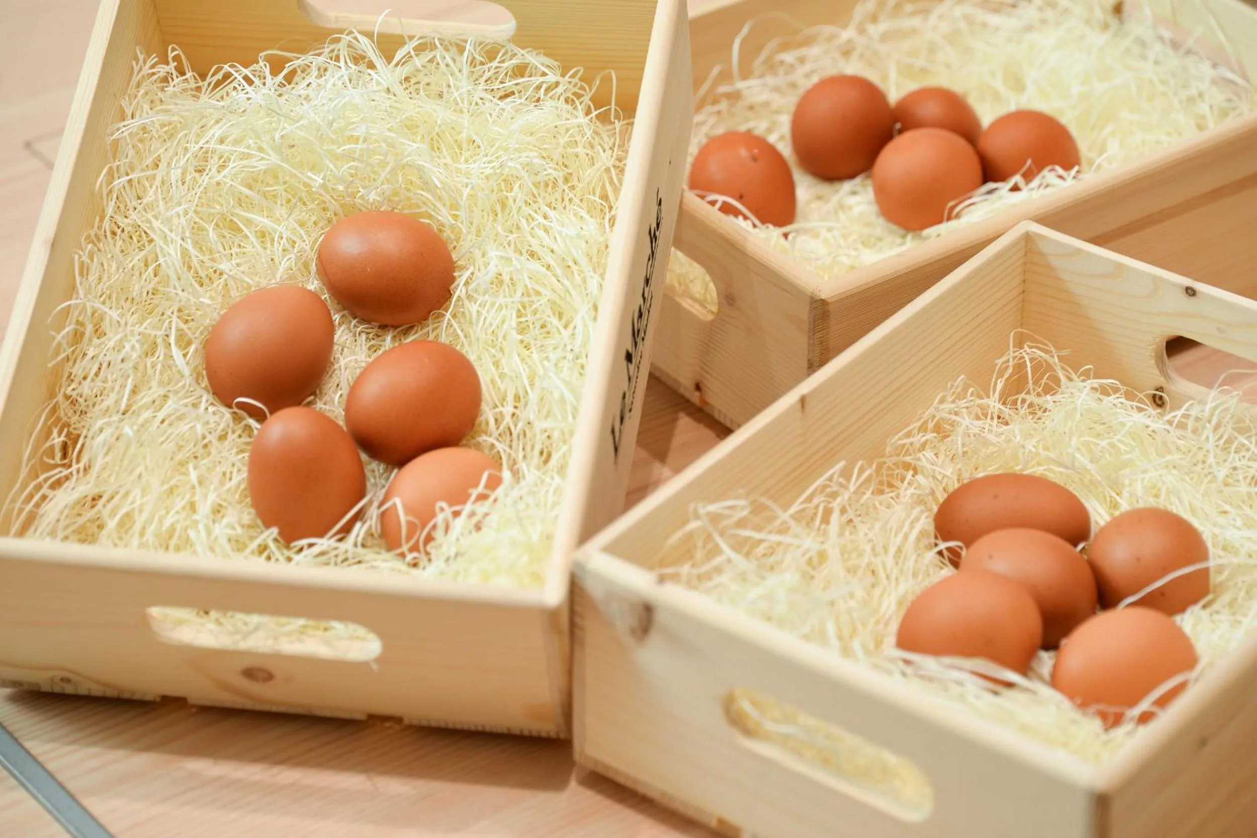 Breakfast in Kagoshima Plaza Hotel Tenmonkan