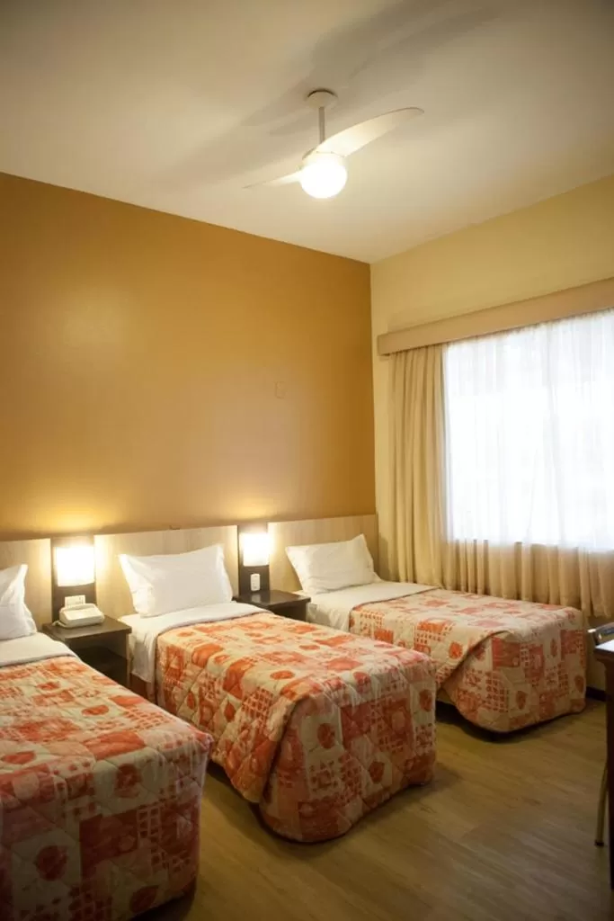 Garden in Hotel Palmeiras