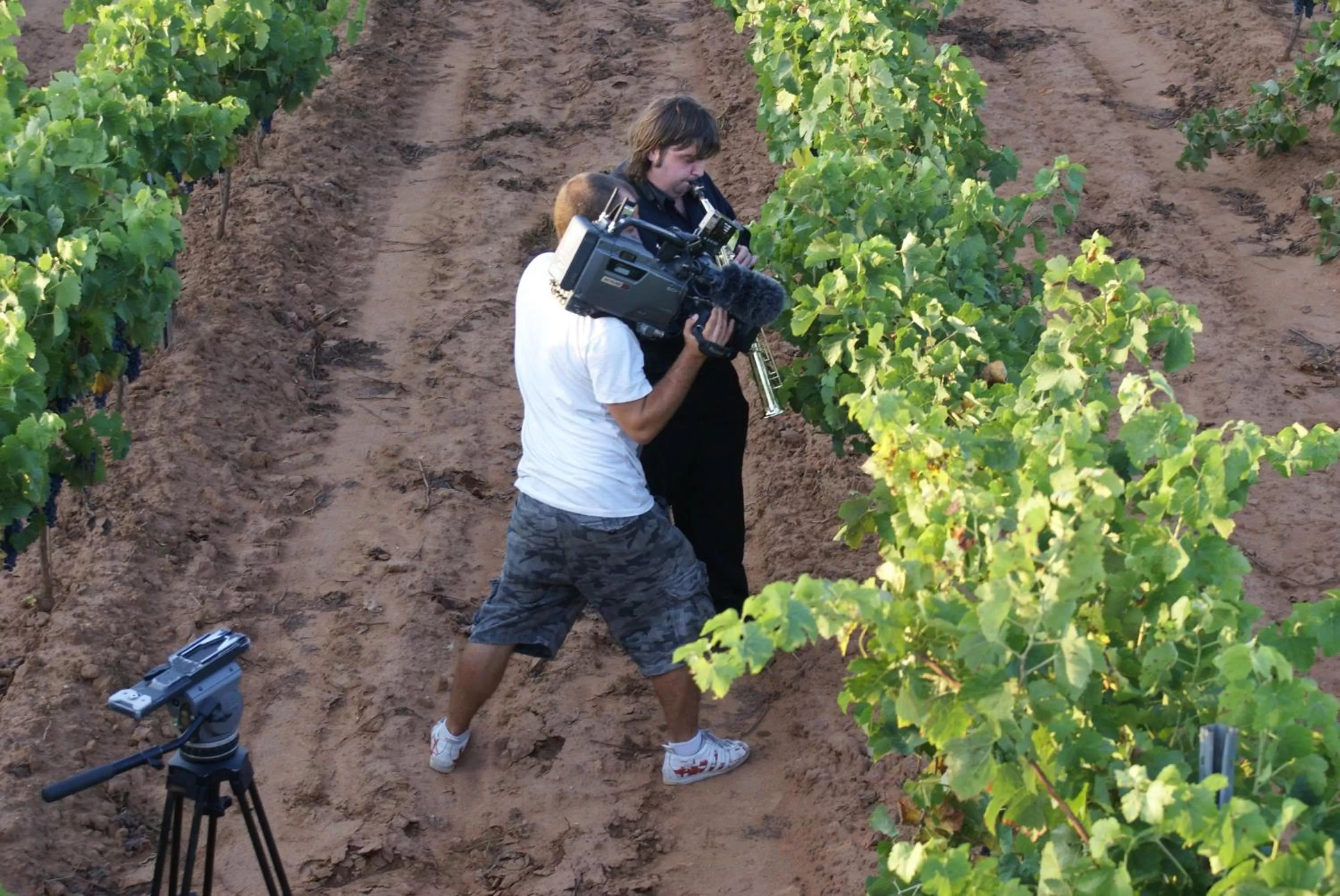 Natural landscape in Casa Rural Magnanimvs