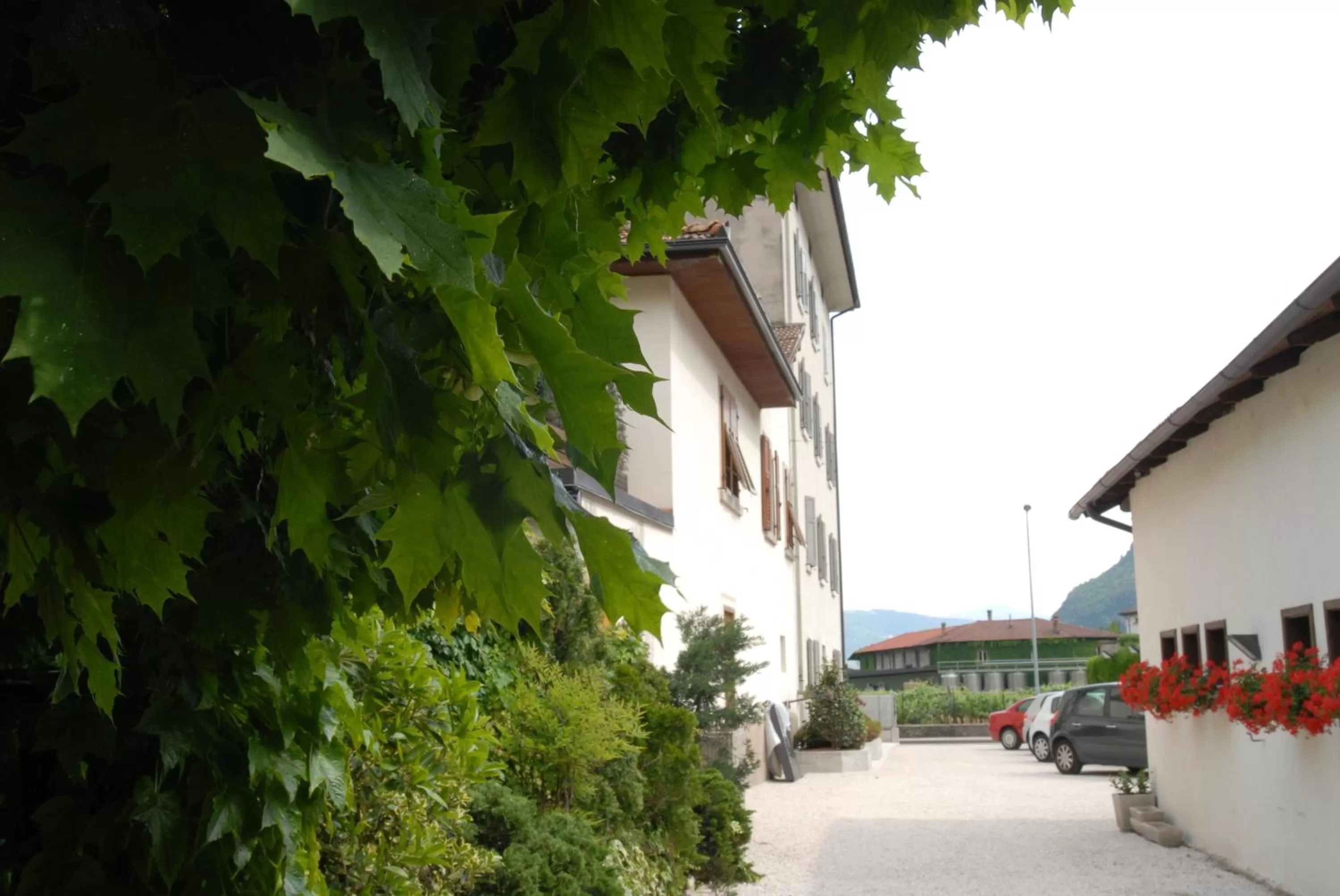 Facade/entrance in Albergo Al Sole