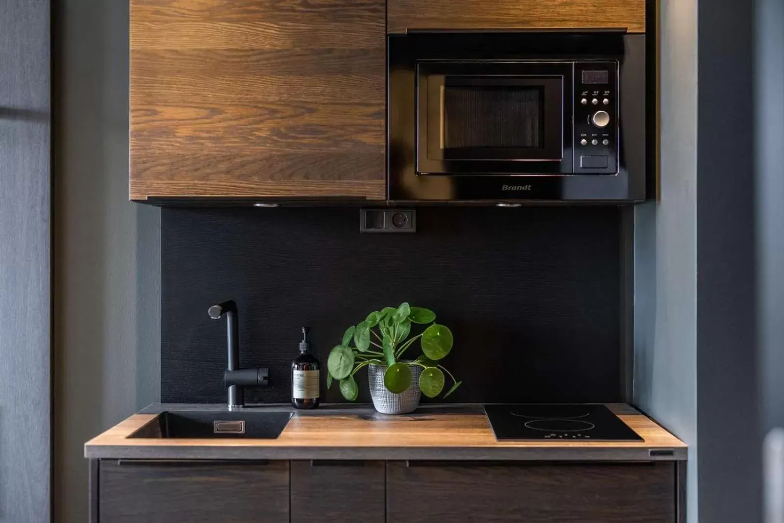 Studio - single occupancy in Peak 12 Hotel Studio - single occupancy in Peak 12 Hotel