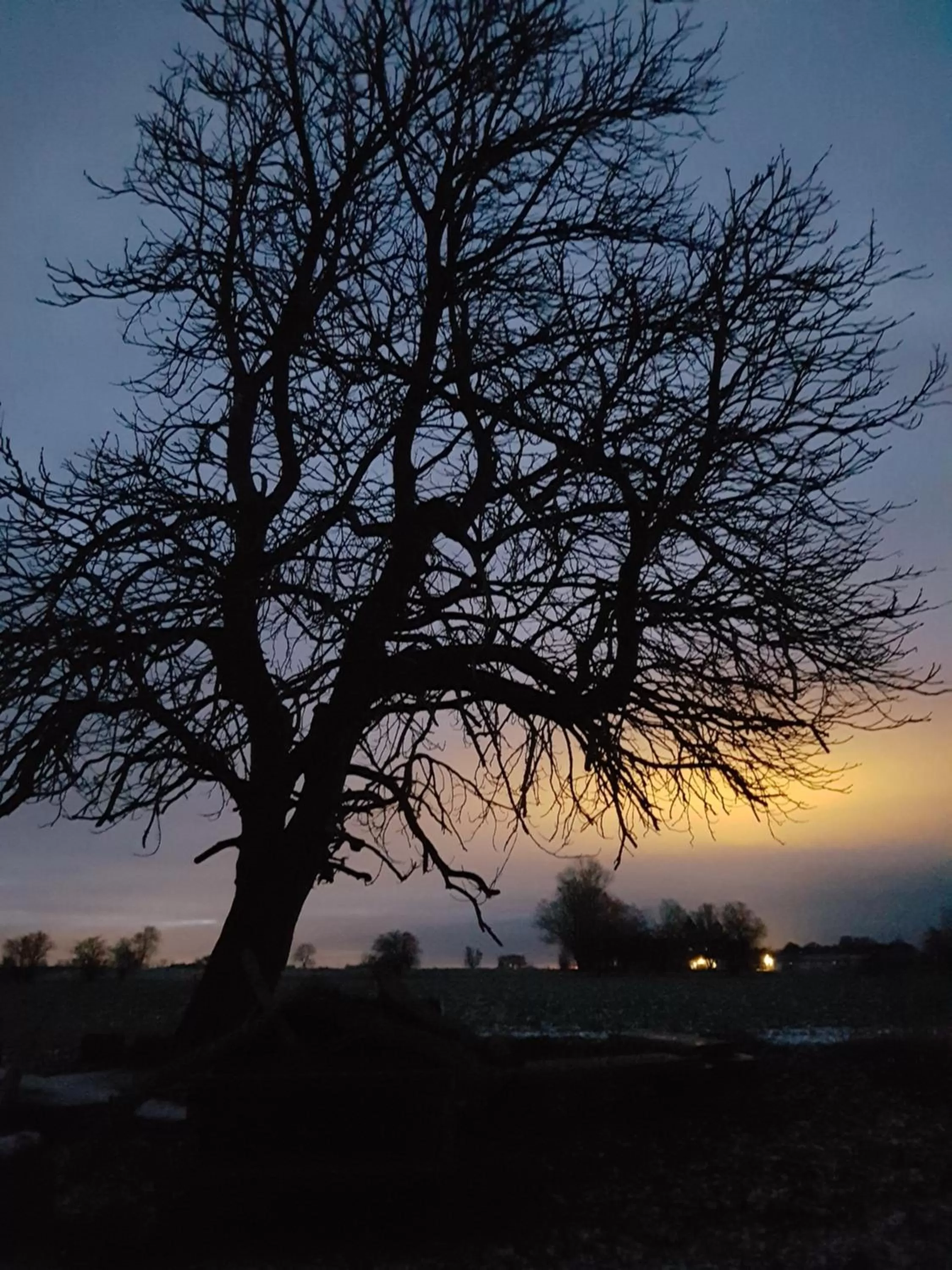 Sunrise/Sunset in Roskilde B&B