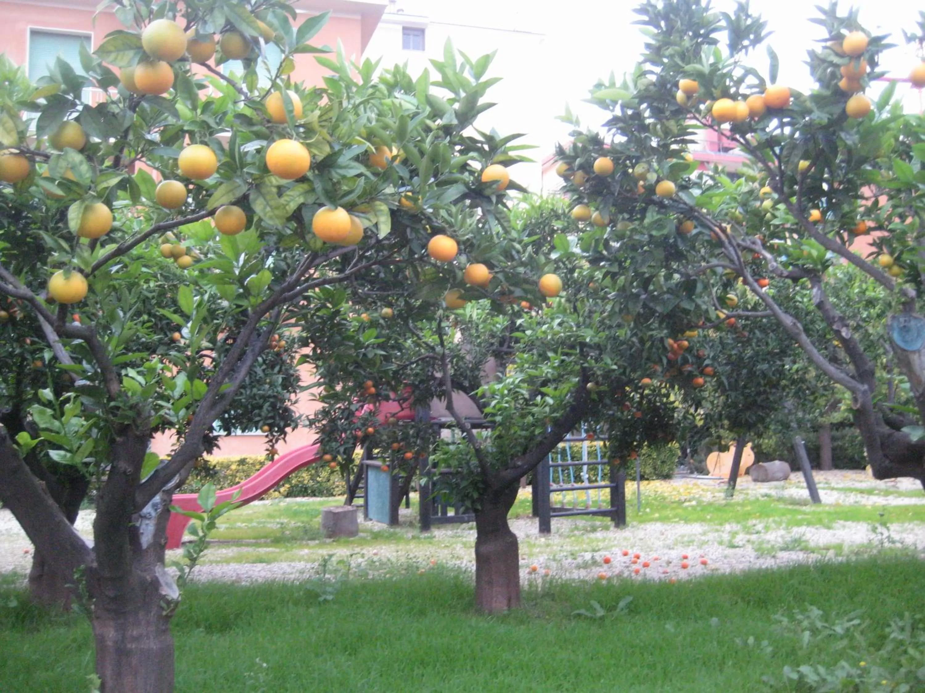 Summer in Hotel Villa San Giuseppe