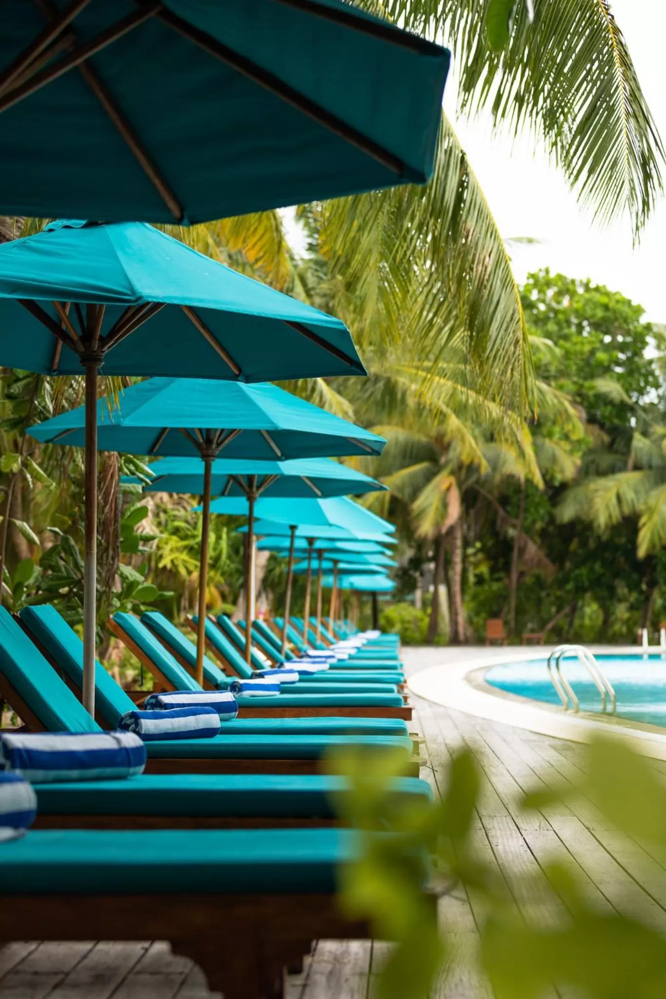 Day in Canareef Resort Maldives