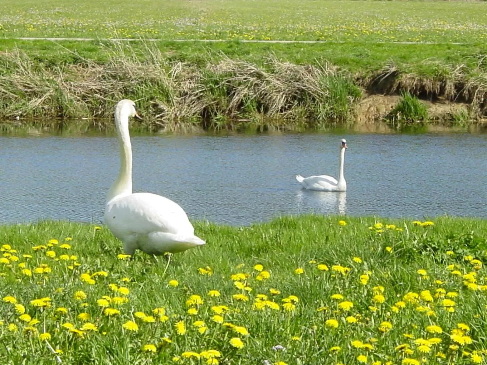 Area and facilities in Espace Morteau